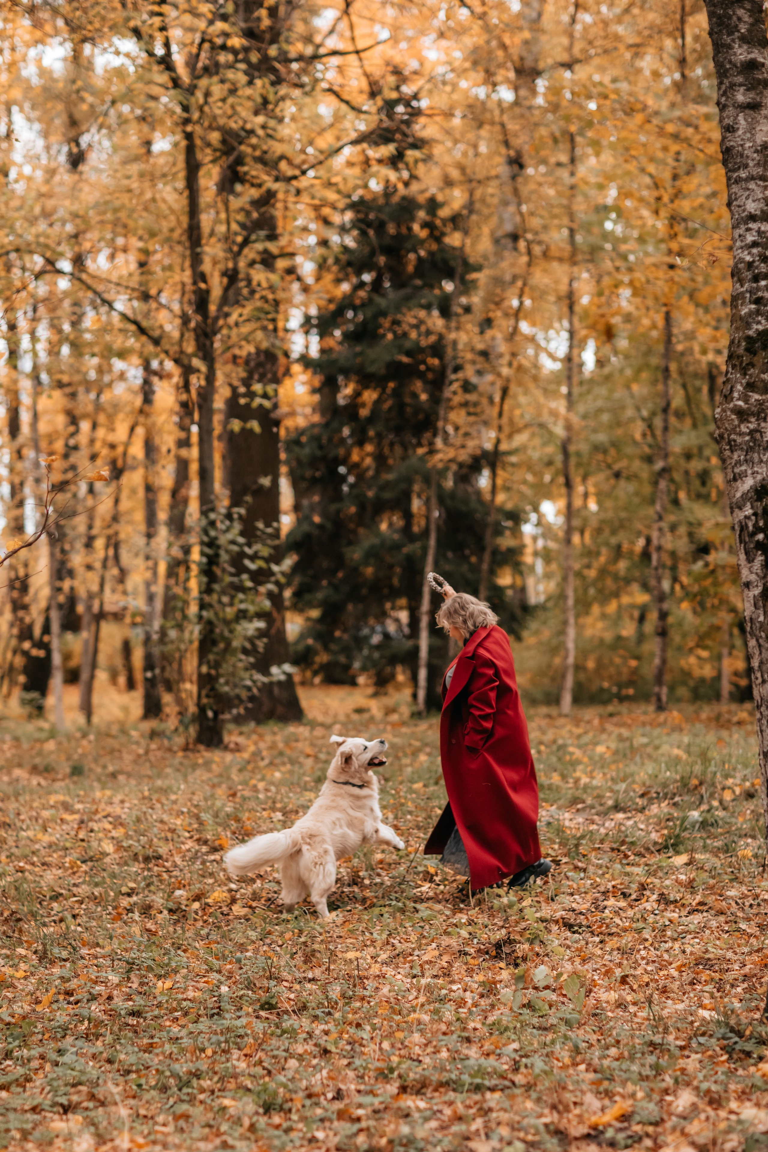Рэм и семья, прогулка в осеннем парке. Семейный фотограф анималист Мария Крючкова