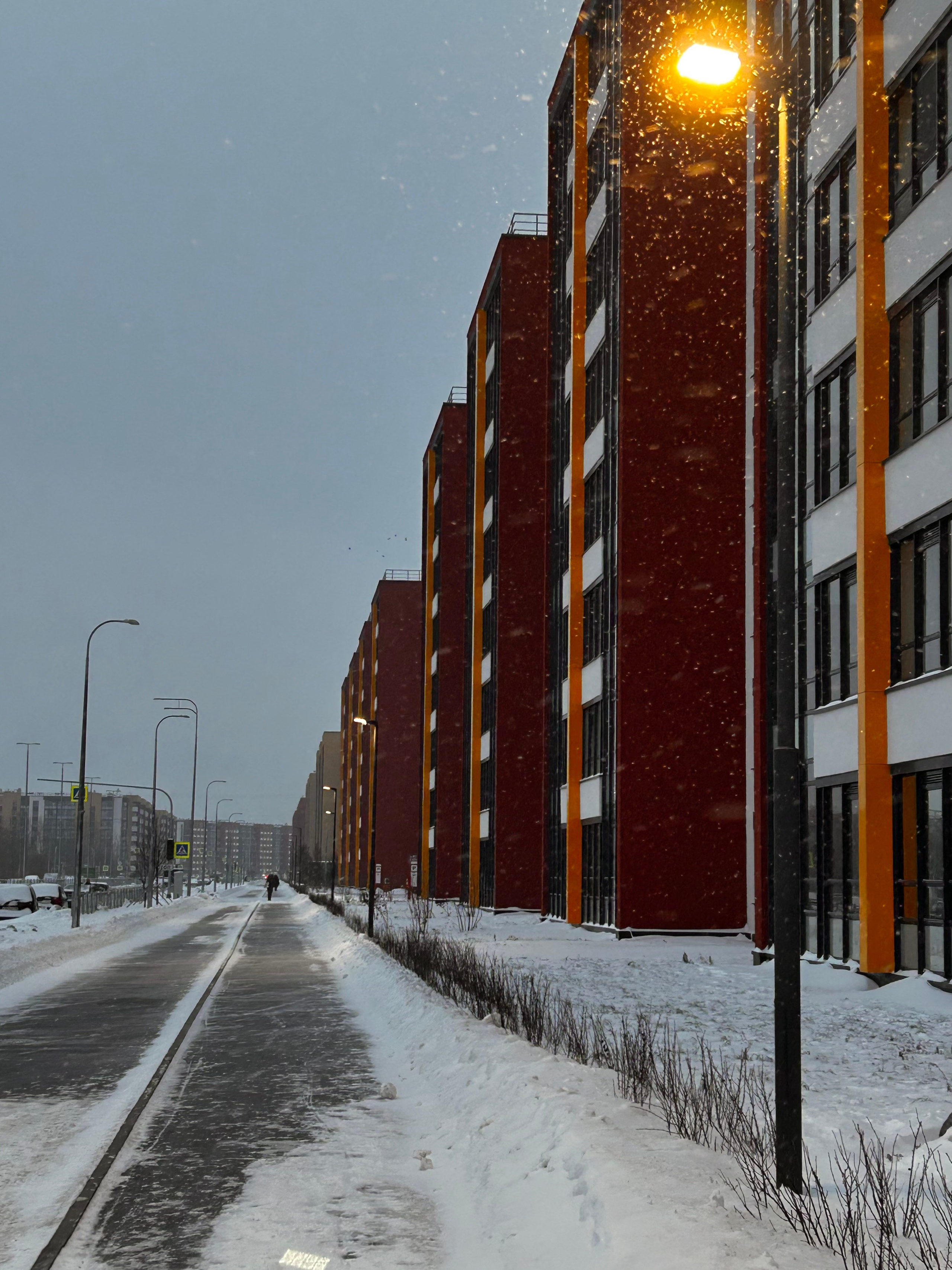 Красуйся, град Петров!. Фотокружок «Видоискатель» ГБОУ СОШ № 291