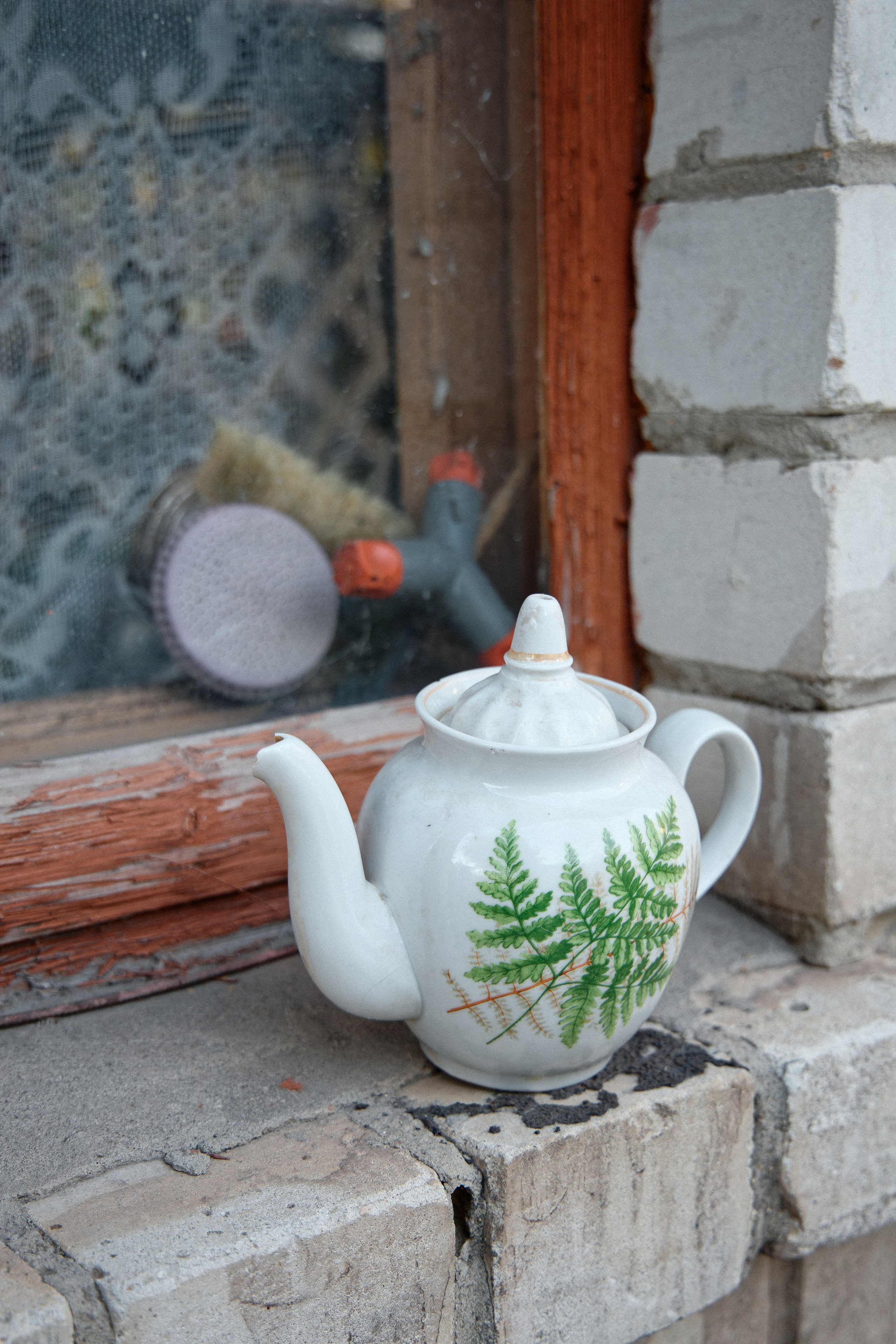 Семья Даниловых. Семейный фотограф — Макс Белогрудов