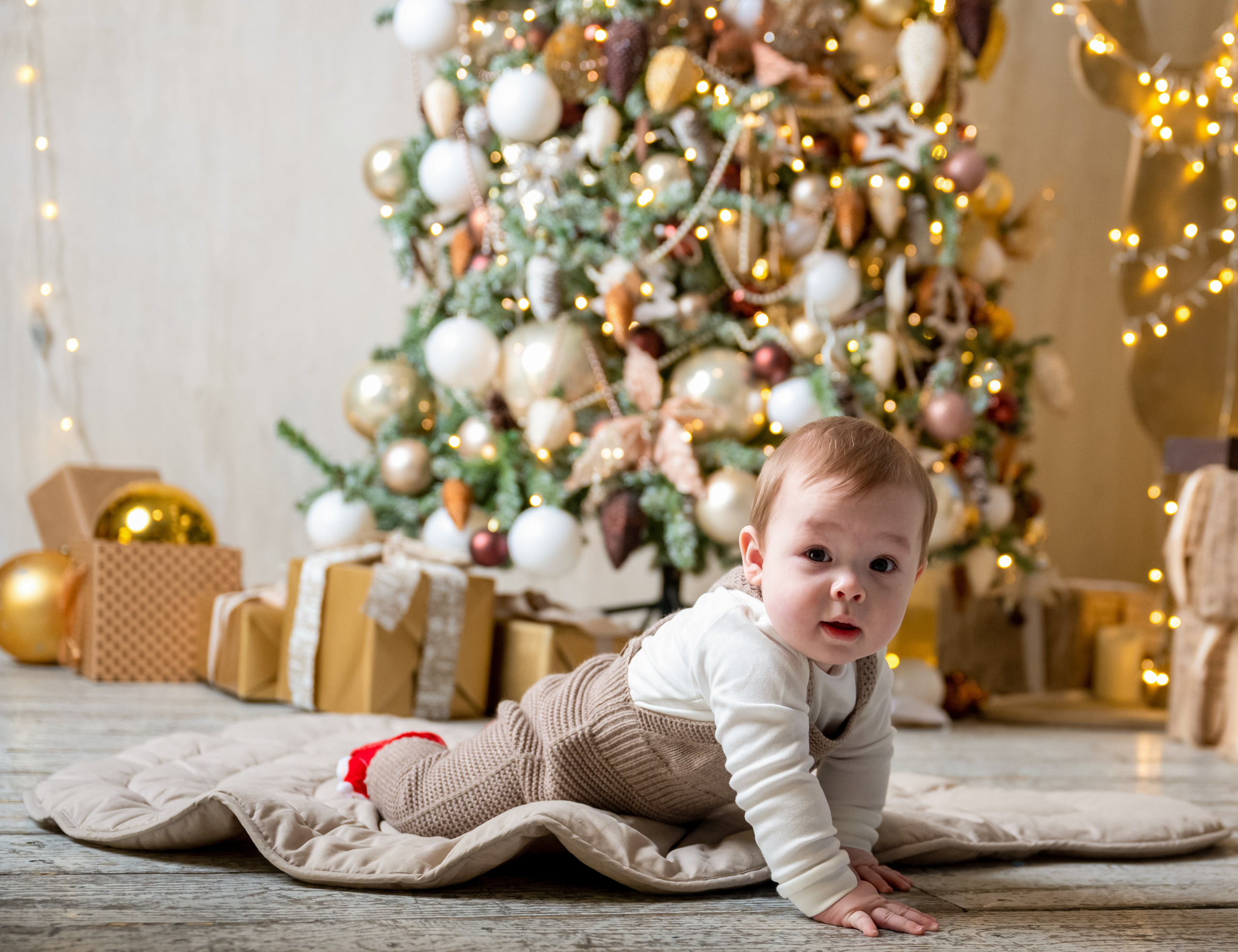 Почти год у власти. Свадебный и семейный Фотограф в Москве Александр Березин