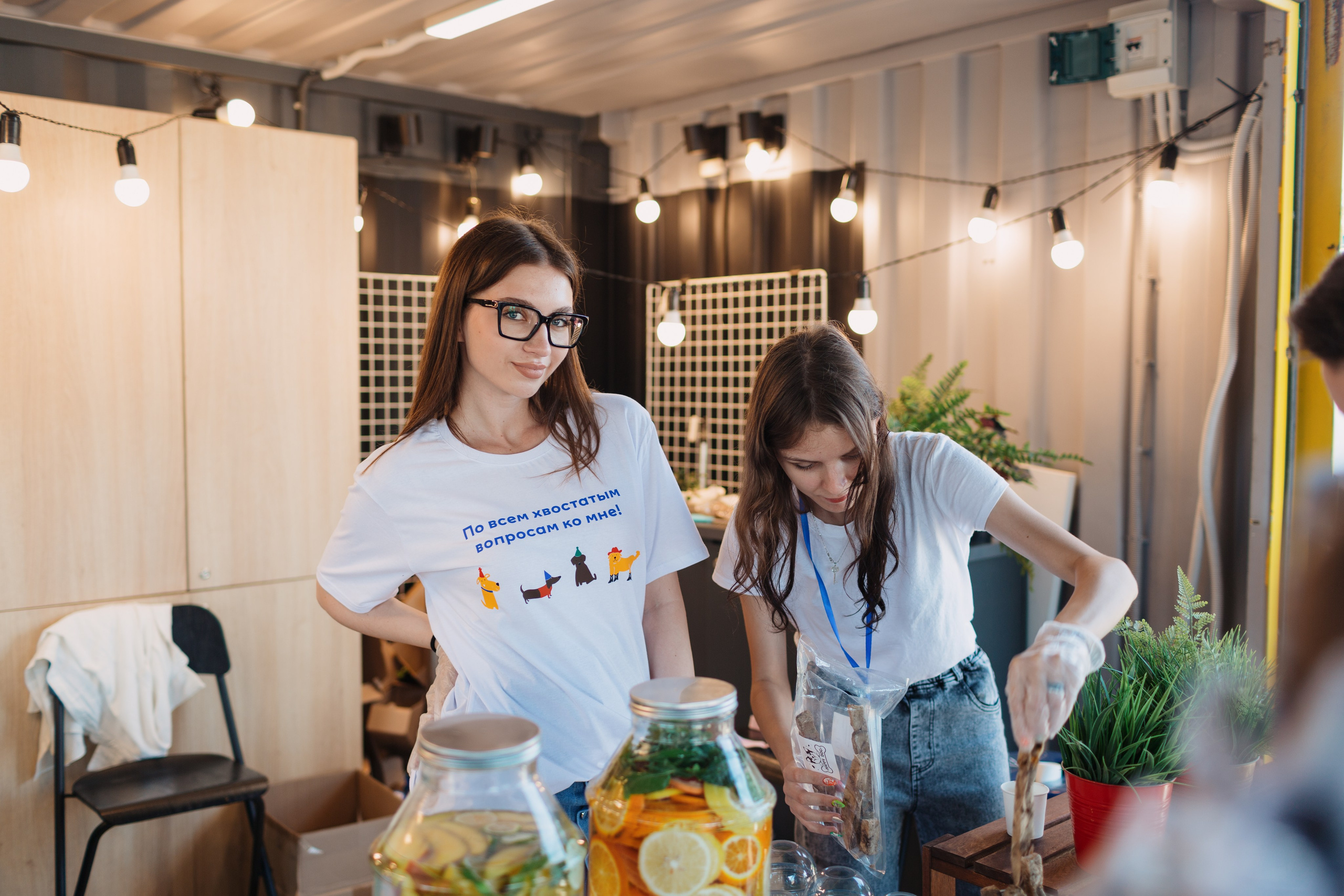 Dog Fest 2024. Главная