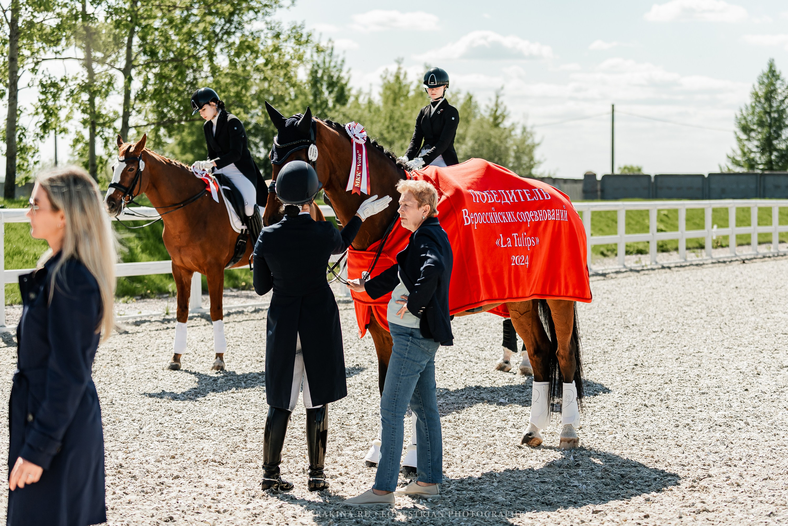 РЕПОРТАЖ МКК ВОЛЬТ «LA TULIPS». Конный фотограф Куракина Дарья • Фотосессии с лошадьми