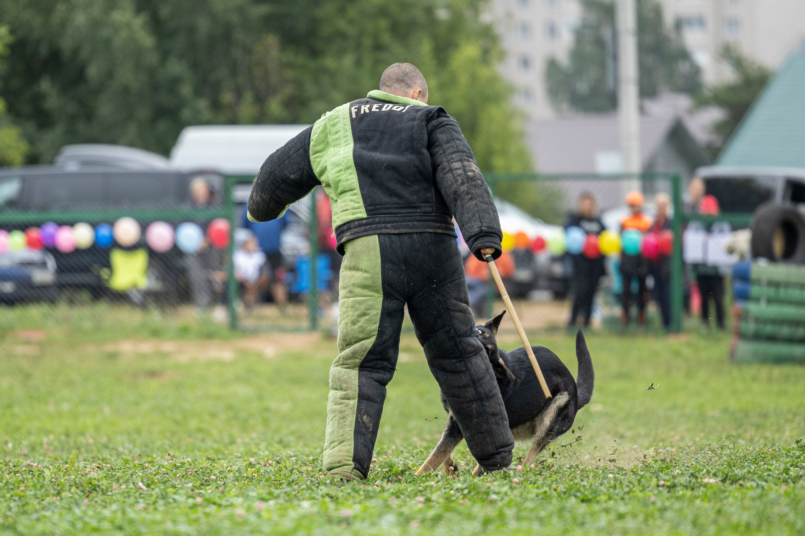 Соревнования по Мондьорингу г. Вологда 10-11.08.2024. Фотограф-анималист Анна Маринич