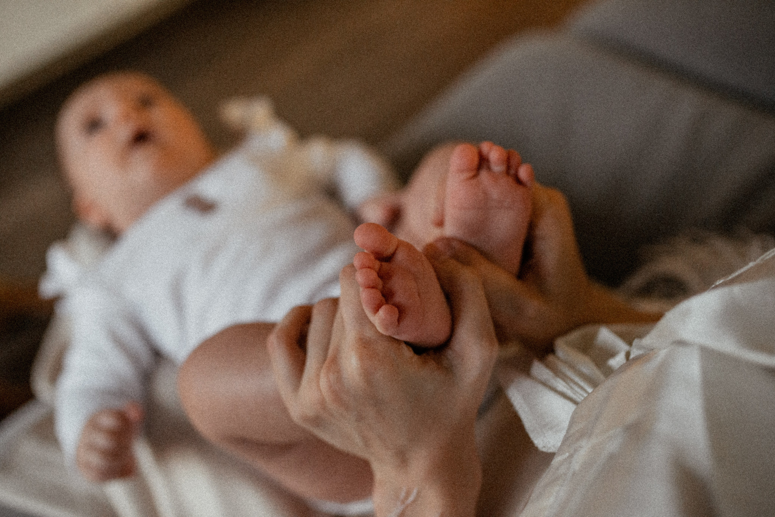 Домашняя 26.11.23. Галина Чекунова Фотограф в Ростове-на-Дону