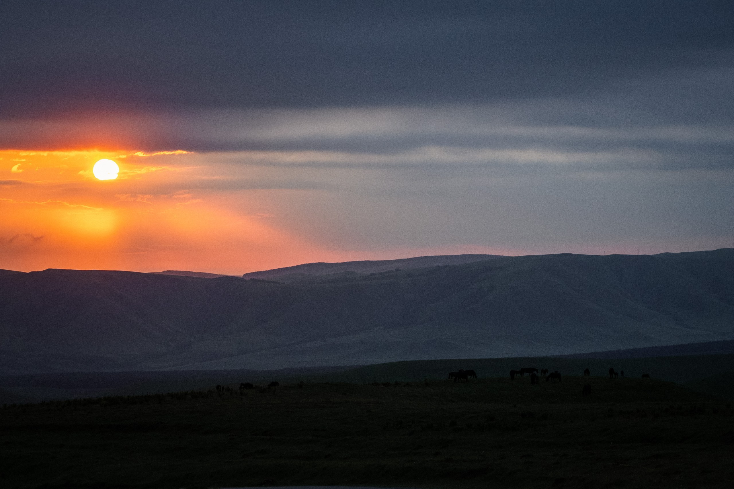 Джилы-Суу Мен 22/06/2025. Фотограф в Краснодаре Алена Горбунова