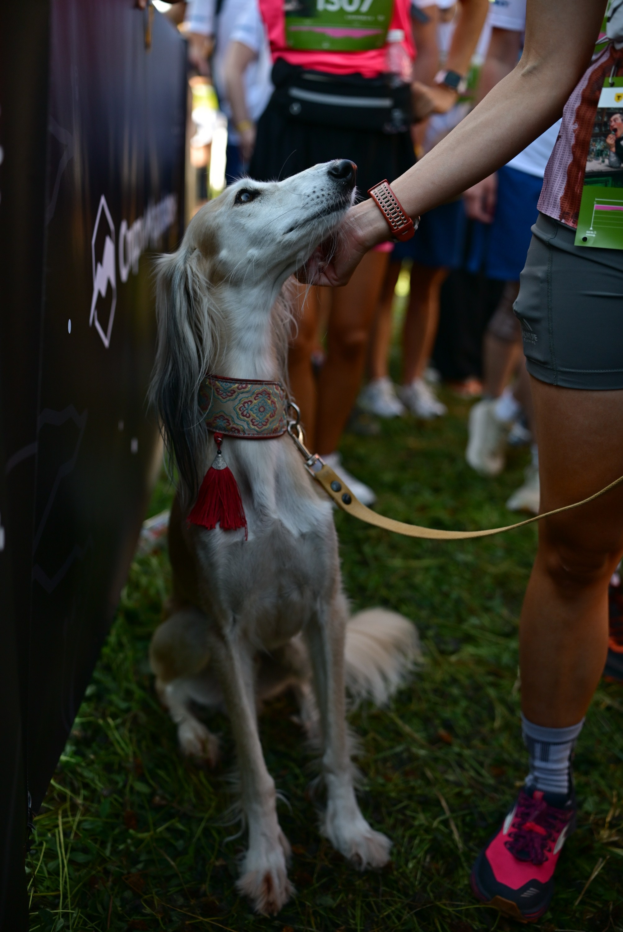 Т-Банк Rosa Wild Fest 07/09/2025. Фотограф в Краснодаре Алена Горбунова