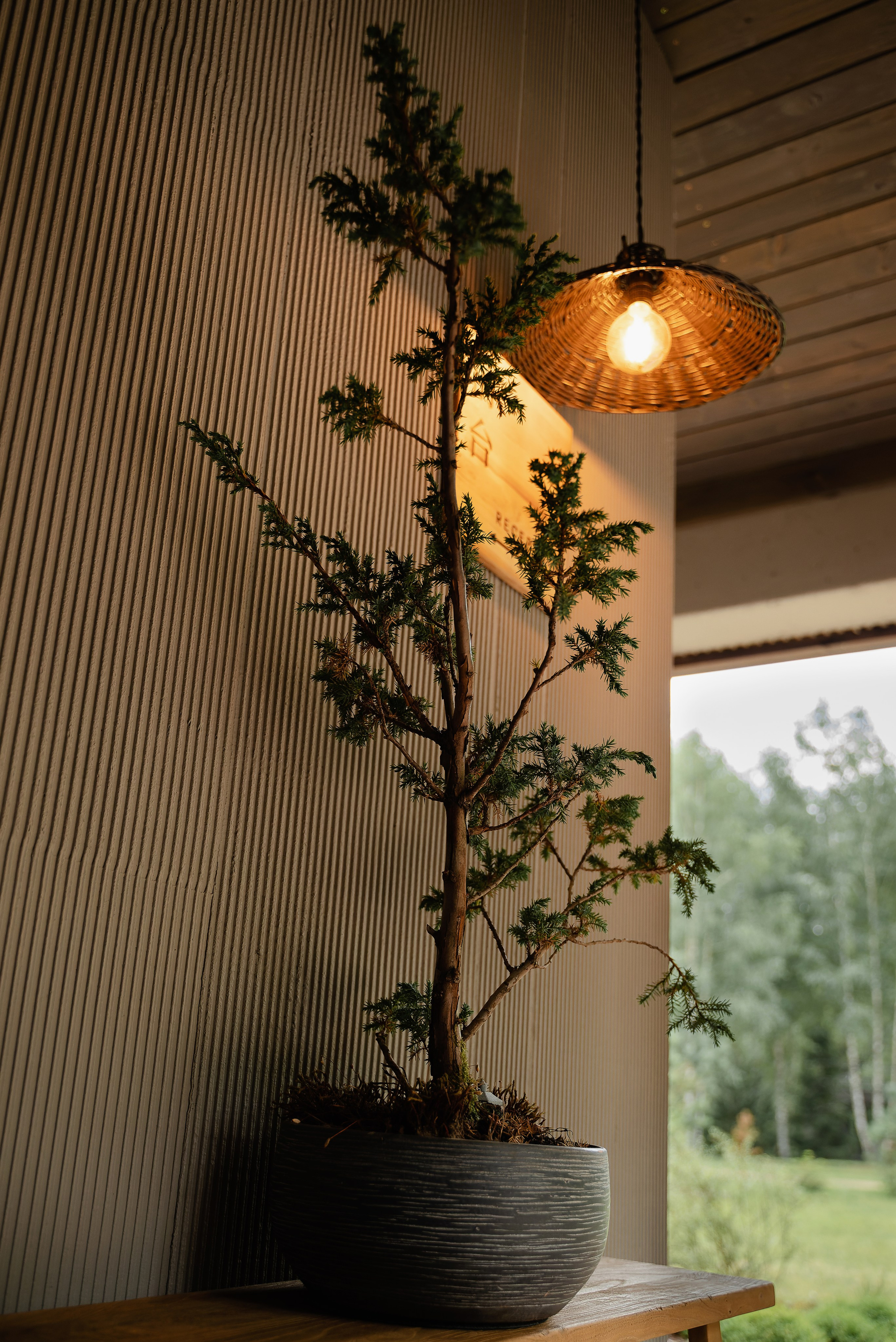 DZEN FOREST. Репортажный и свадебный фотограф в Минске Шамко Анатолий