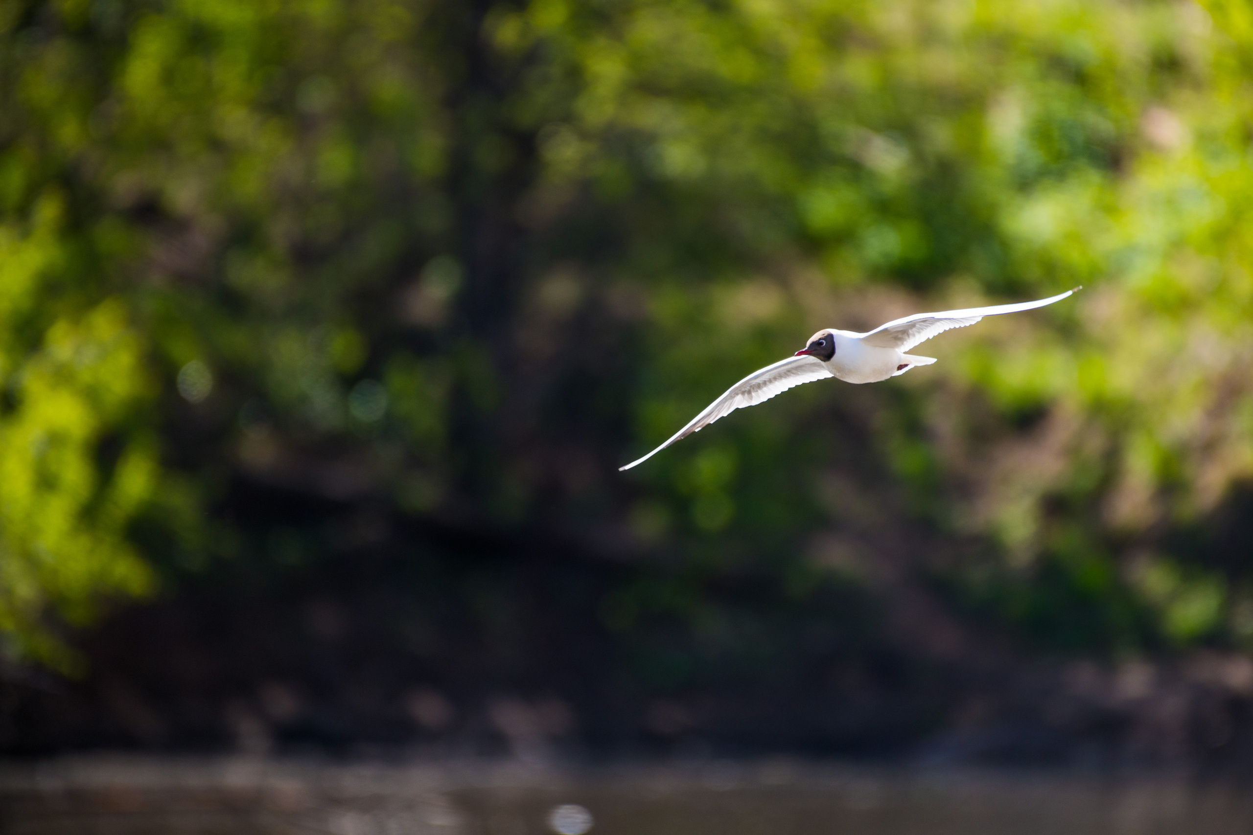 Фотоохота. Репортажный фотограф в Ижевске Константин Ившин