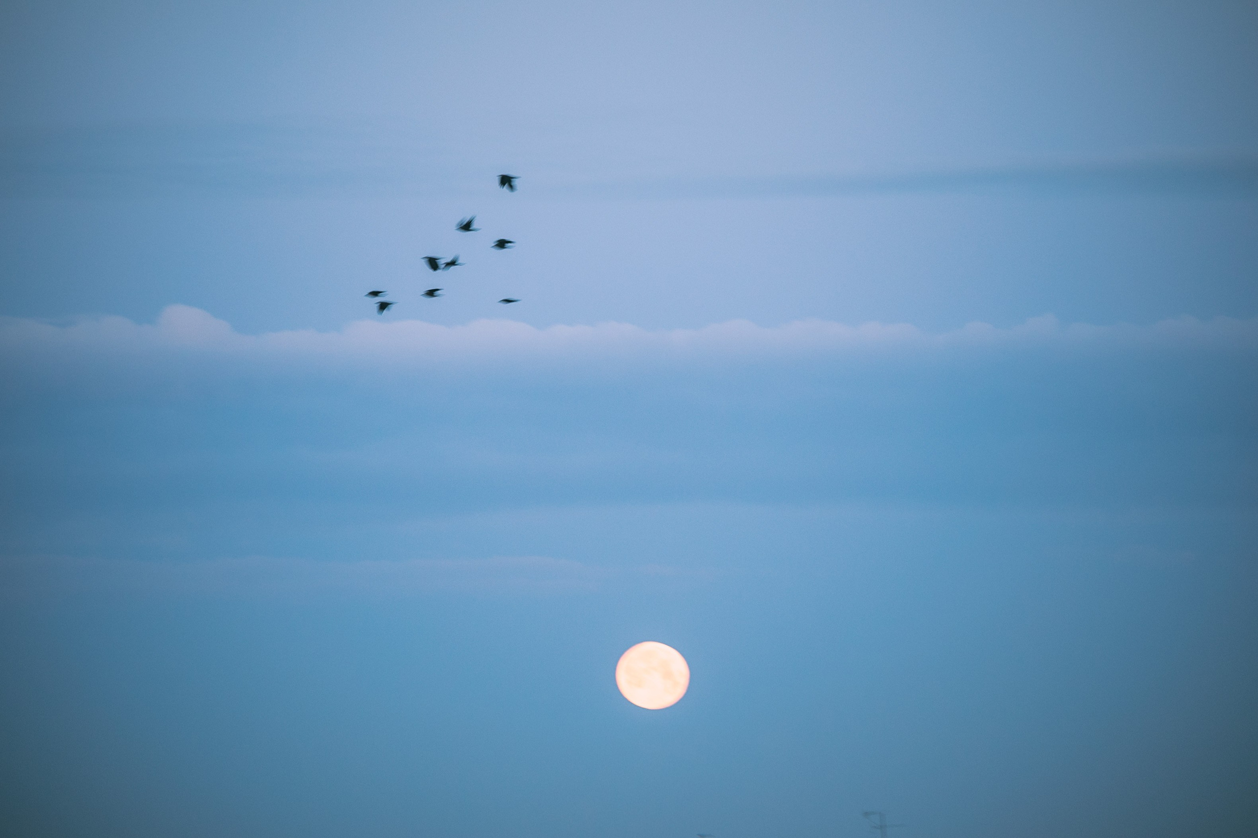 Фотошкола. Творческая Таты Пахомовой