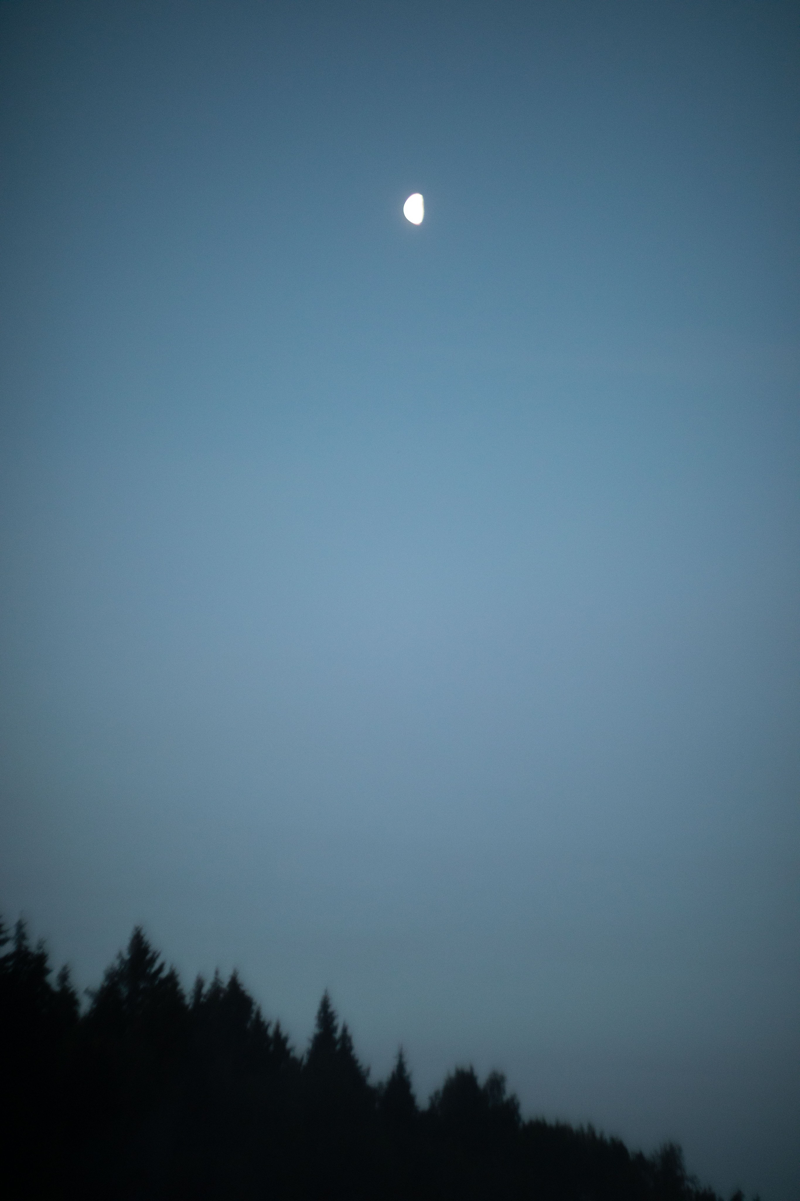 Купальская история на рассвете. Юлия Башкатова, сказочный фотограф, Москва