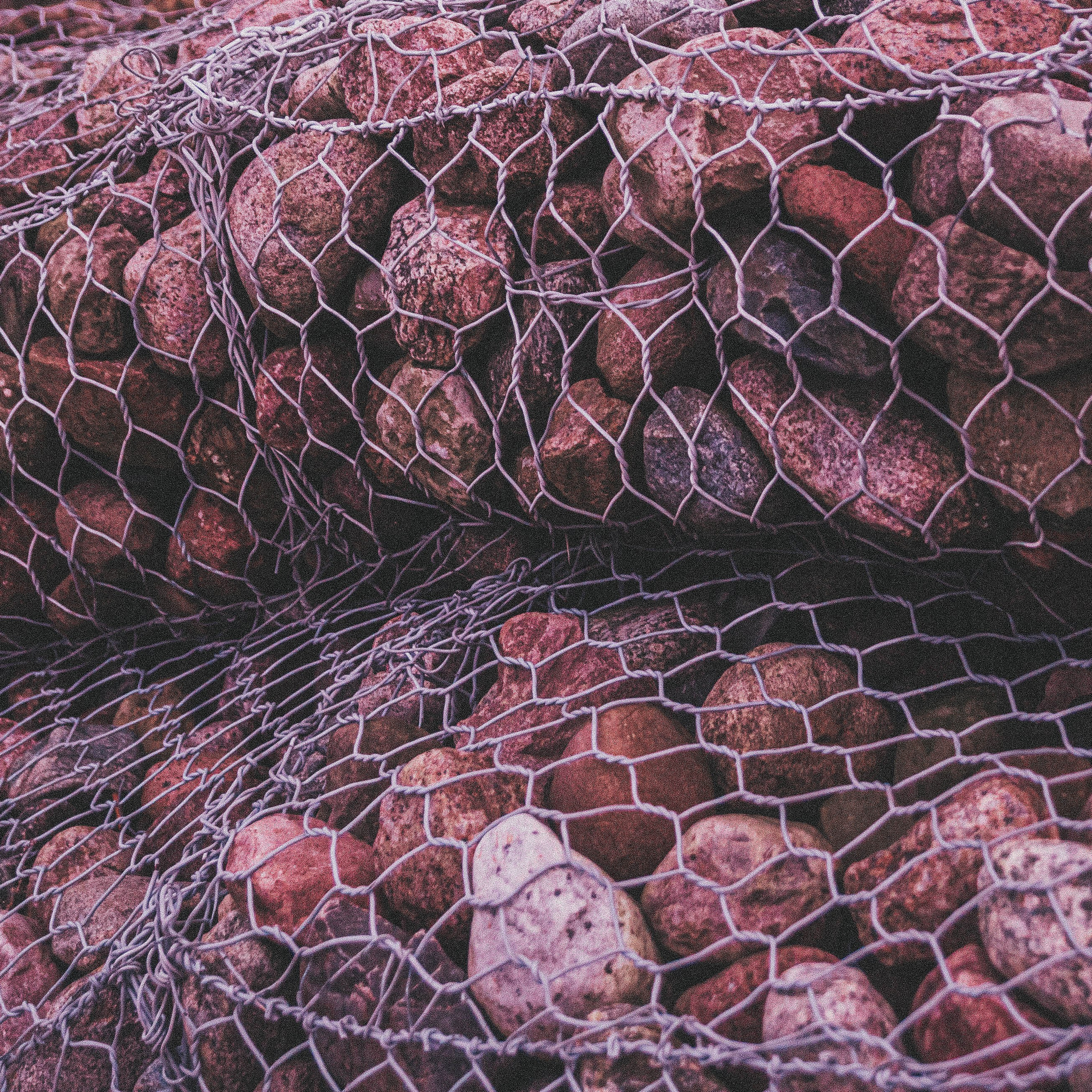 Калининград, декабрь 2025. Фотограф в Ярославле Ольга Пыненкова