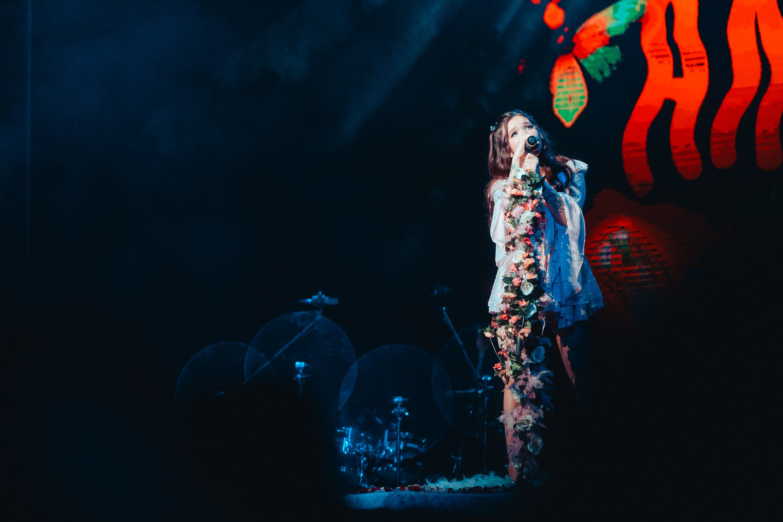 Алена Швец. Магия музыки в кадре: Концертная Фотография