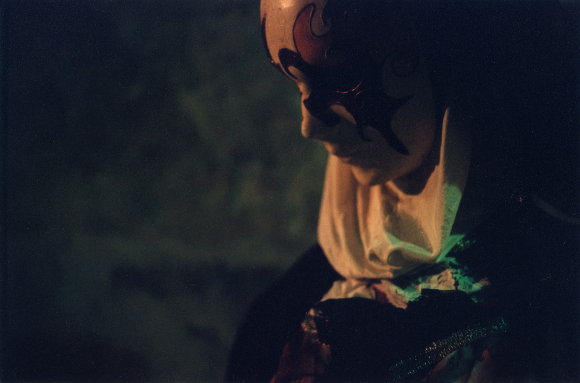 Art Series. Елена Цихон художник фотографии и мастер фото-ДНК