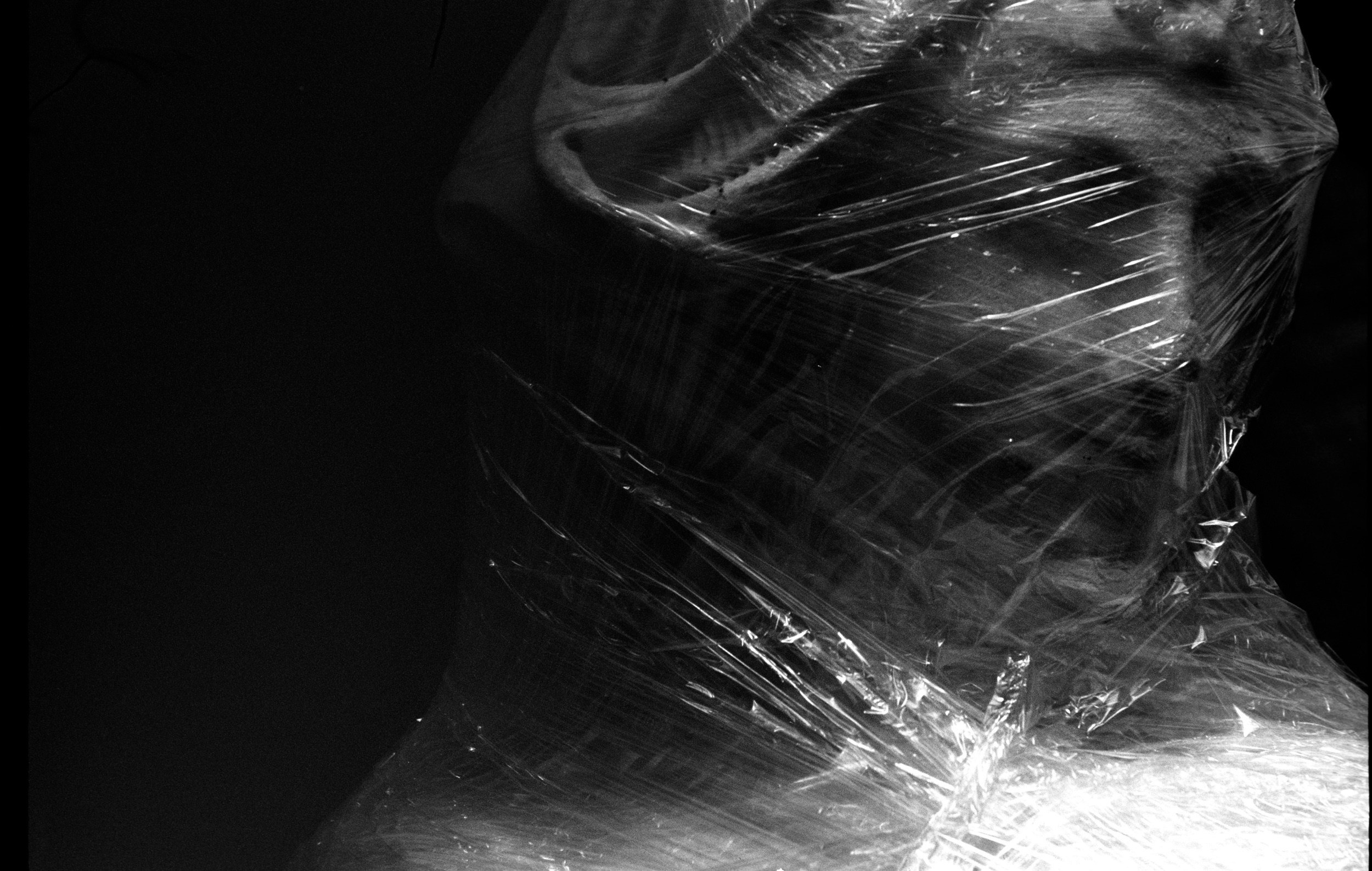 Елена Цихон художник фотографии и мастер фото-ДНК