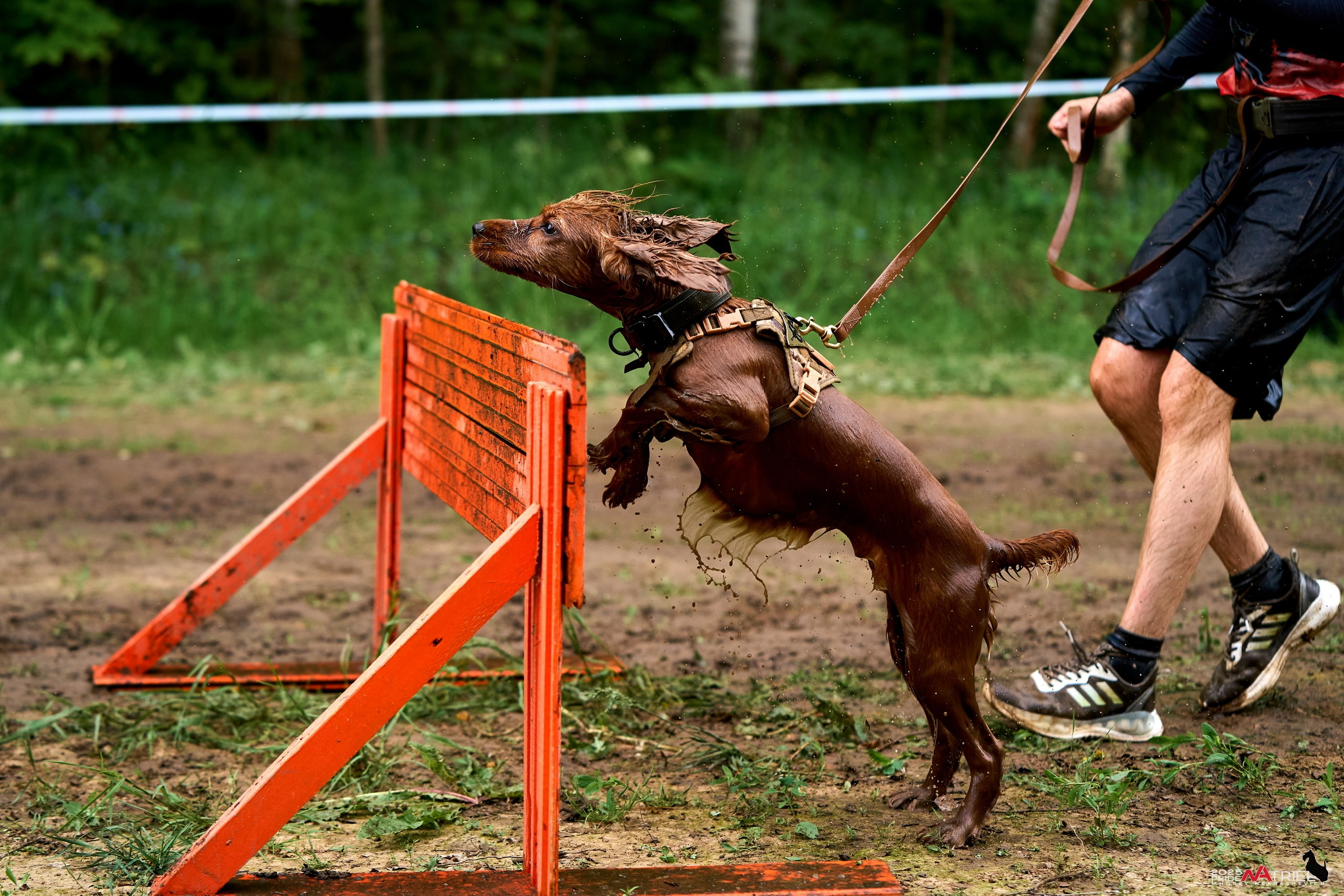 Russian Extreme Dog Trail — 2025
