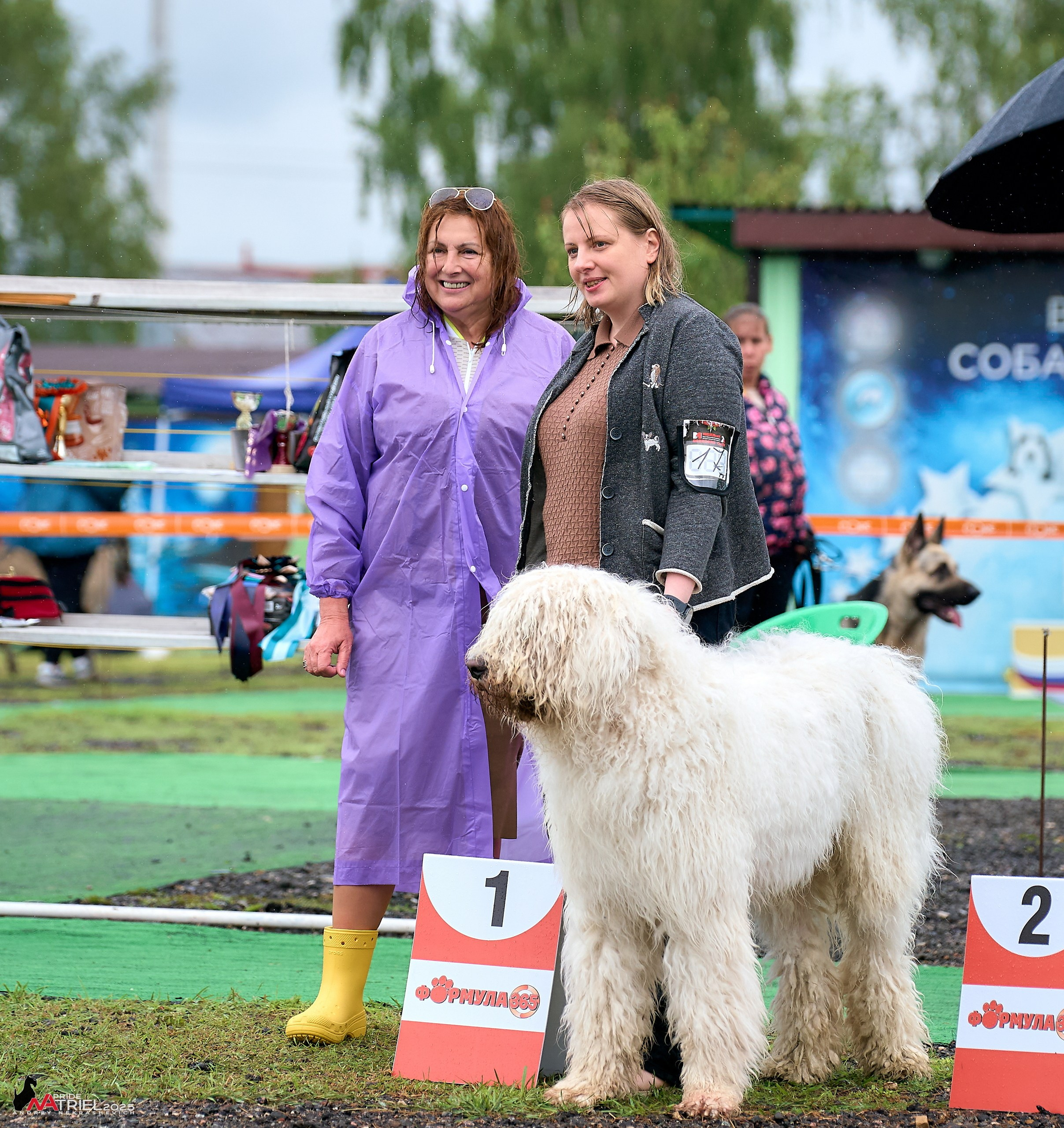 Репортаж с выставки собак