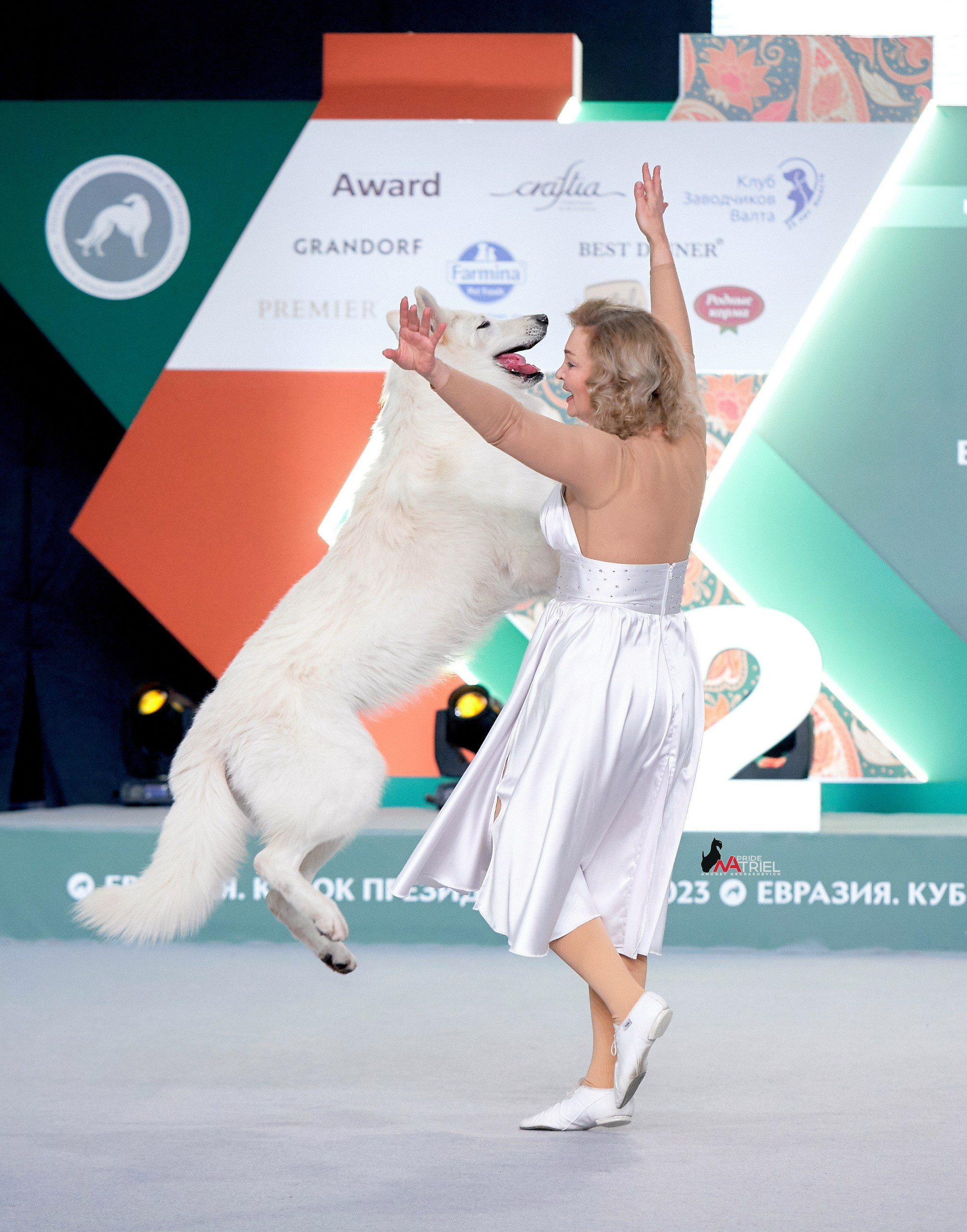 Обидиенс и танцы с собаками — галерея NATRIEL