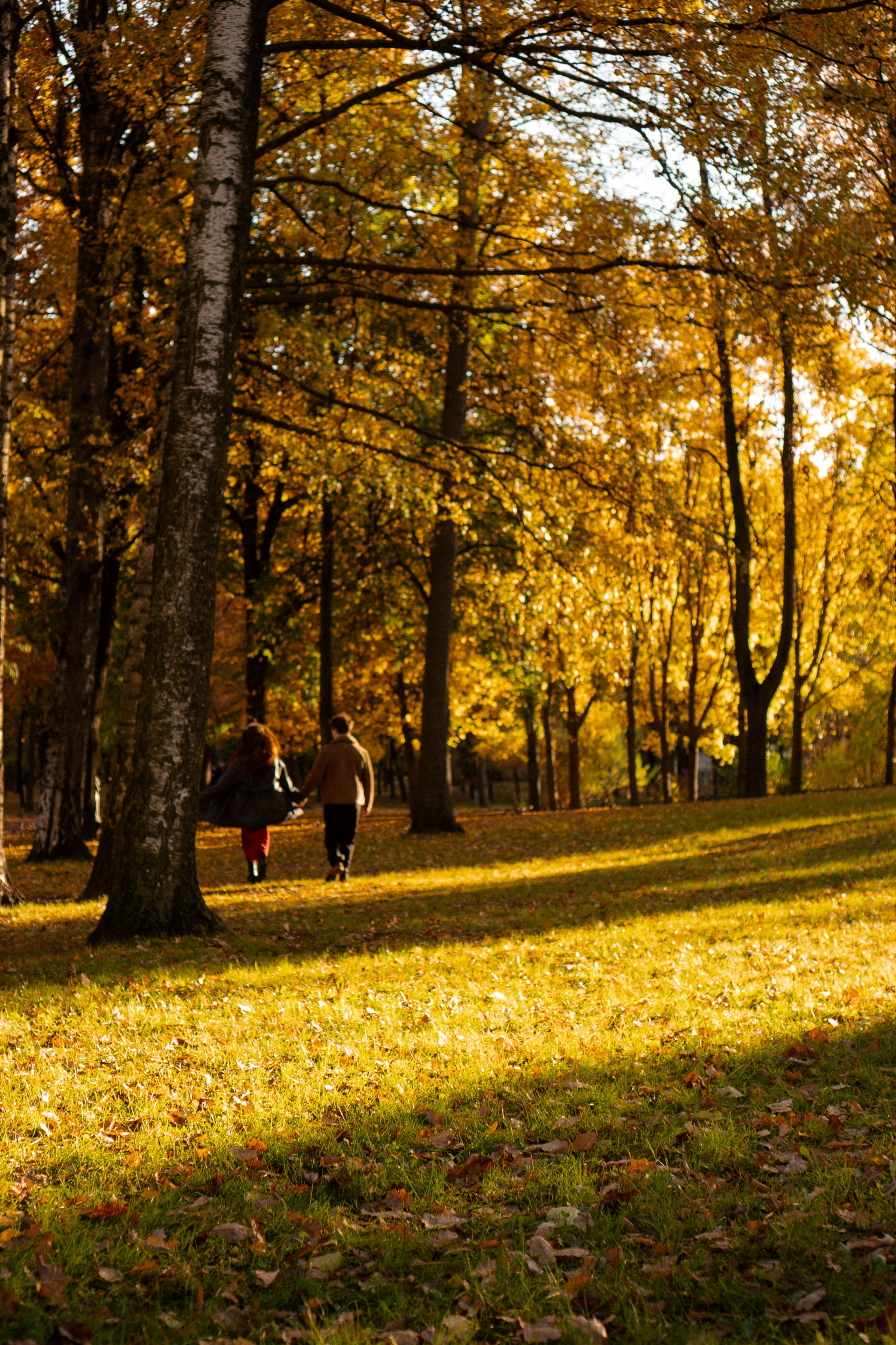 ОСЕННЯЯ ПРОГУЛКА. Профессиональный фотограф, Санкт-Петербург — Виктория Богомолова