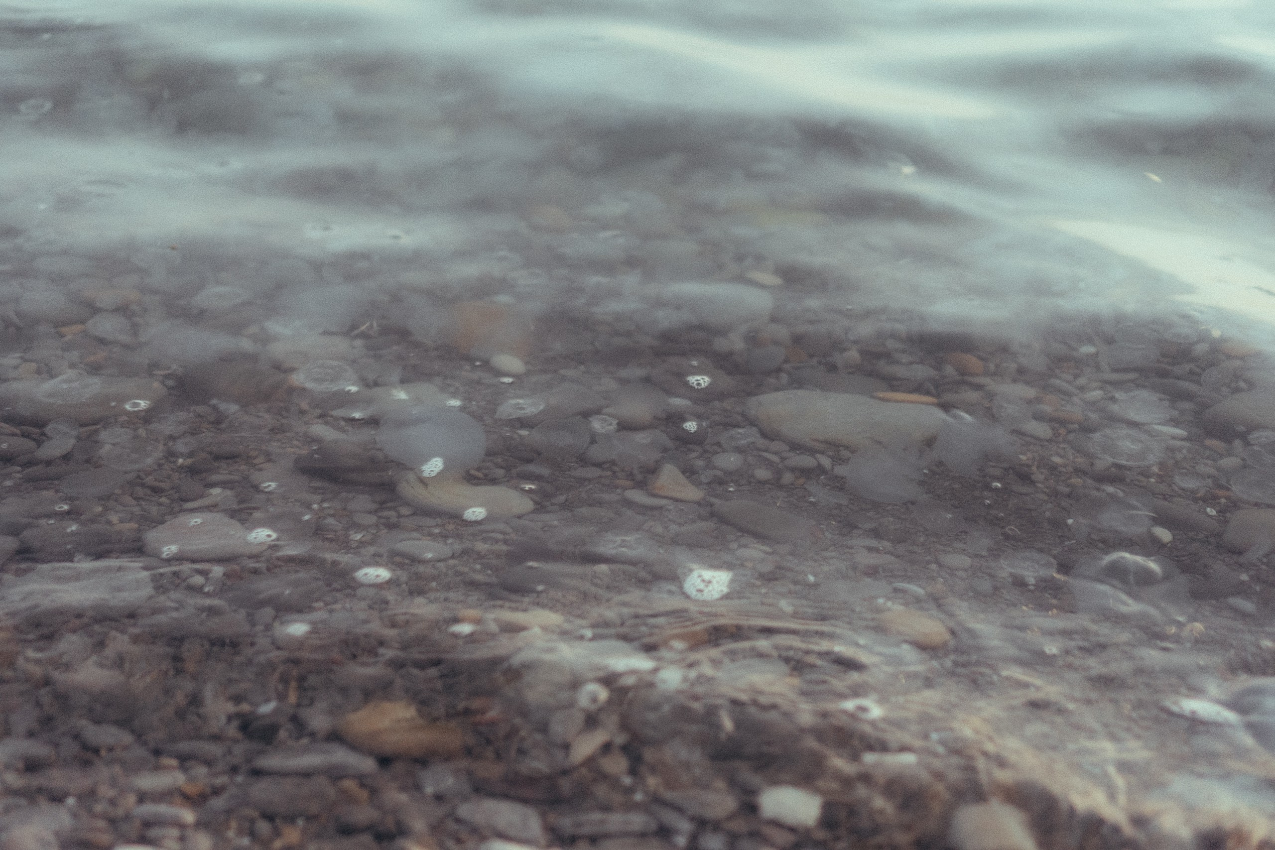 Вечерняя прогулка по Анапе. Профессиональный фотограф, Санкт-Петербург — Виктория Богомолова
