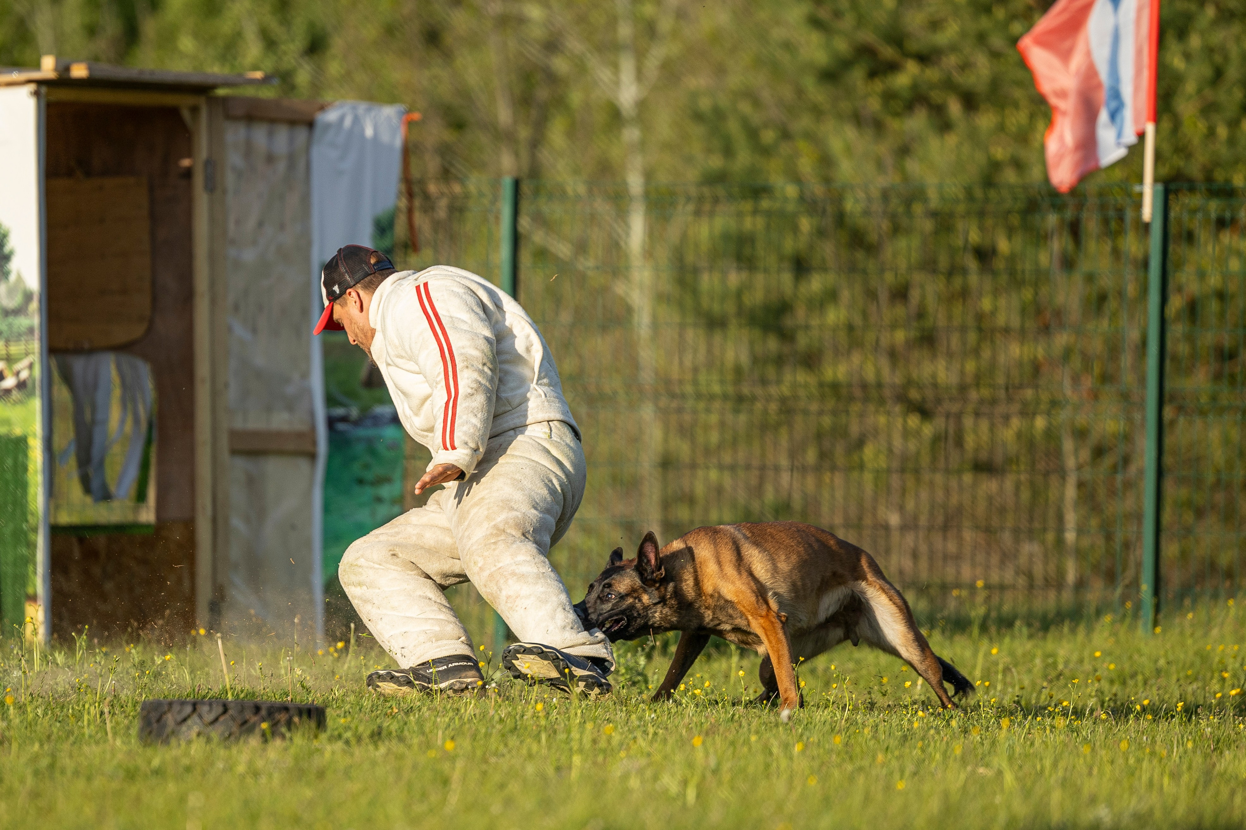 Испытания по мондьорингу в Нижнем Новгороде. Фотограф-анималист Анна Маринич