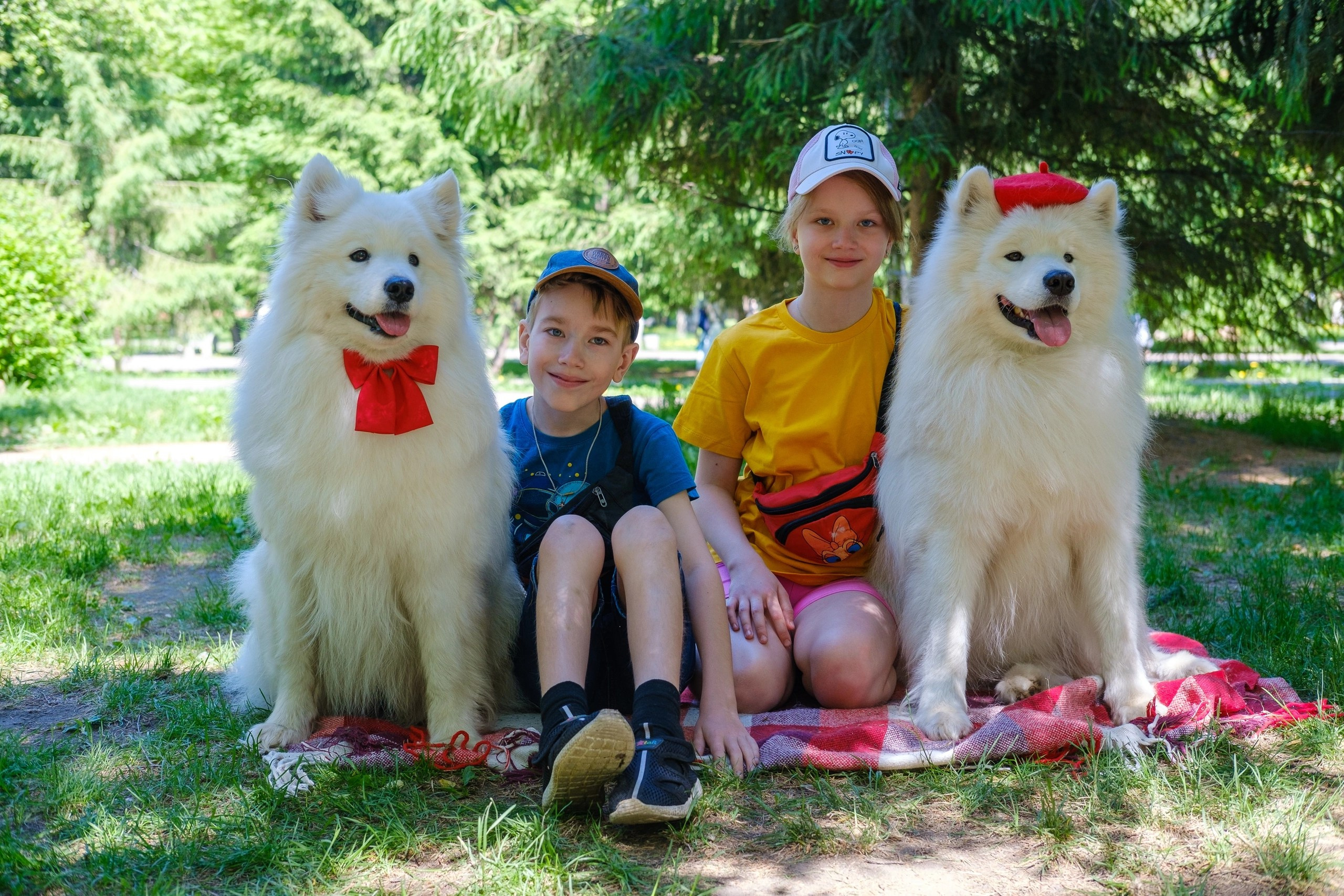 Благотворительная фотосессия. Самоед Новосибирск
