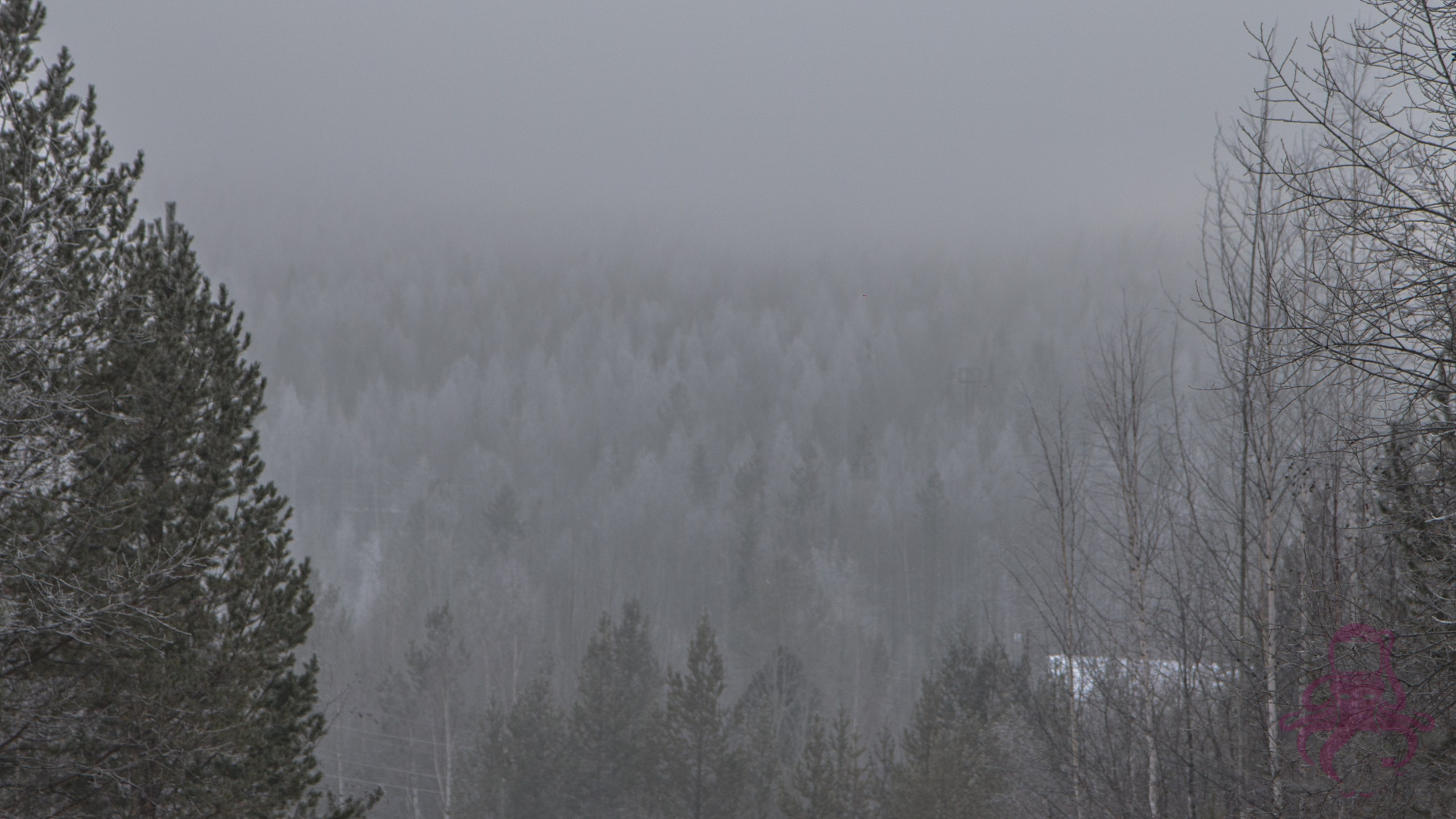 Буддистский монастырь Шад Тчуп Линг. Предметный и репортажный фотограф Алексей Кротов