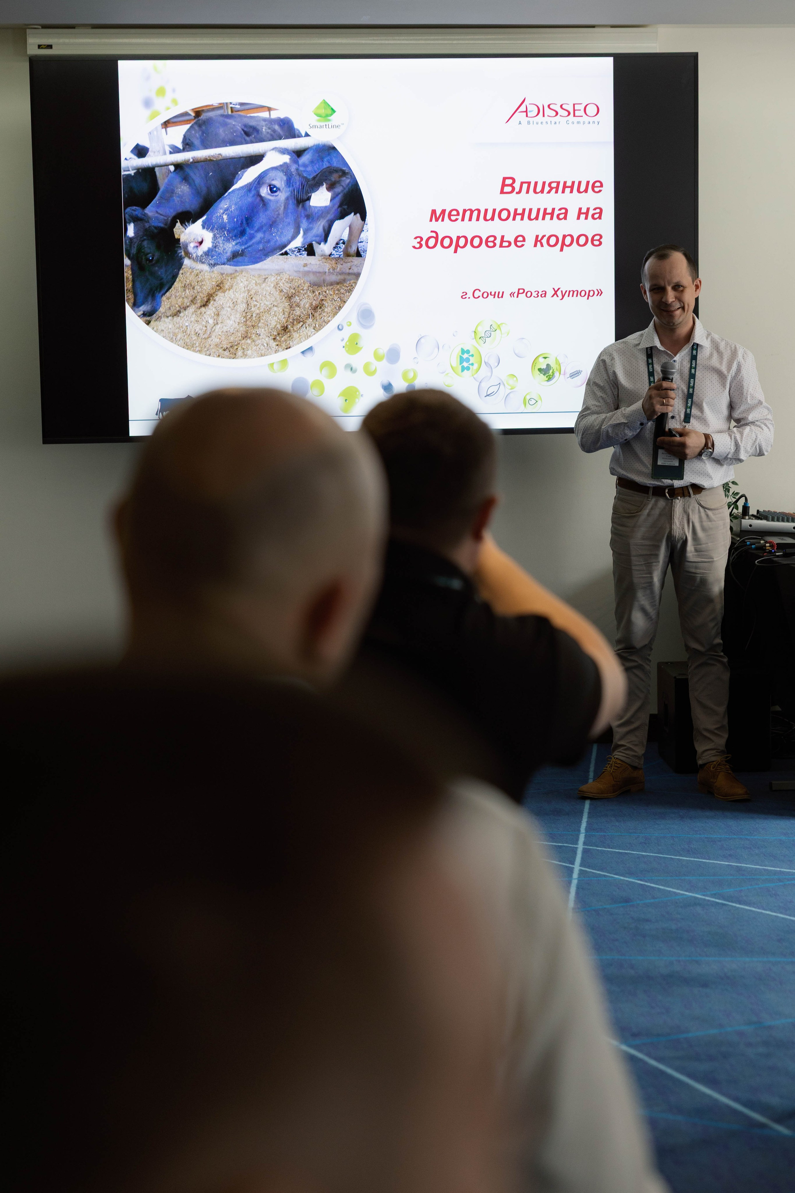 Конференция и ужи. Кормовит. Роза хутор. Фотограф Юсова Мария