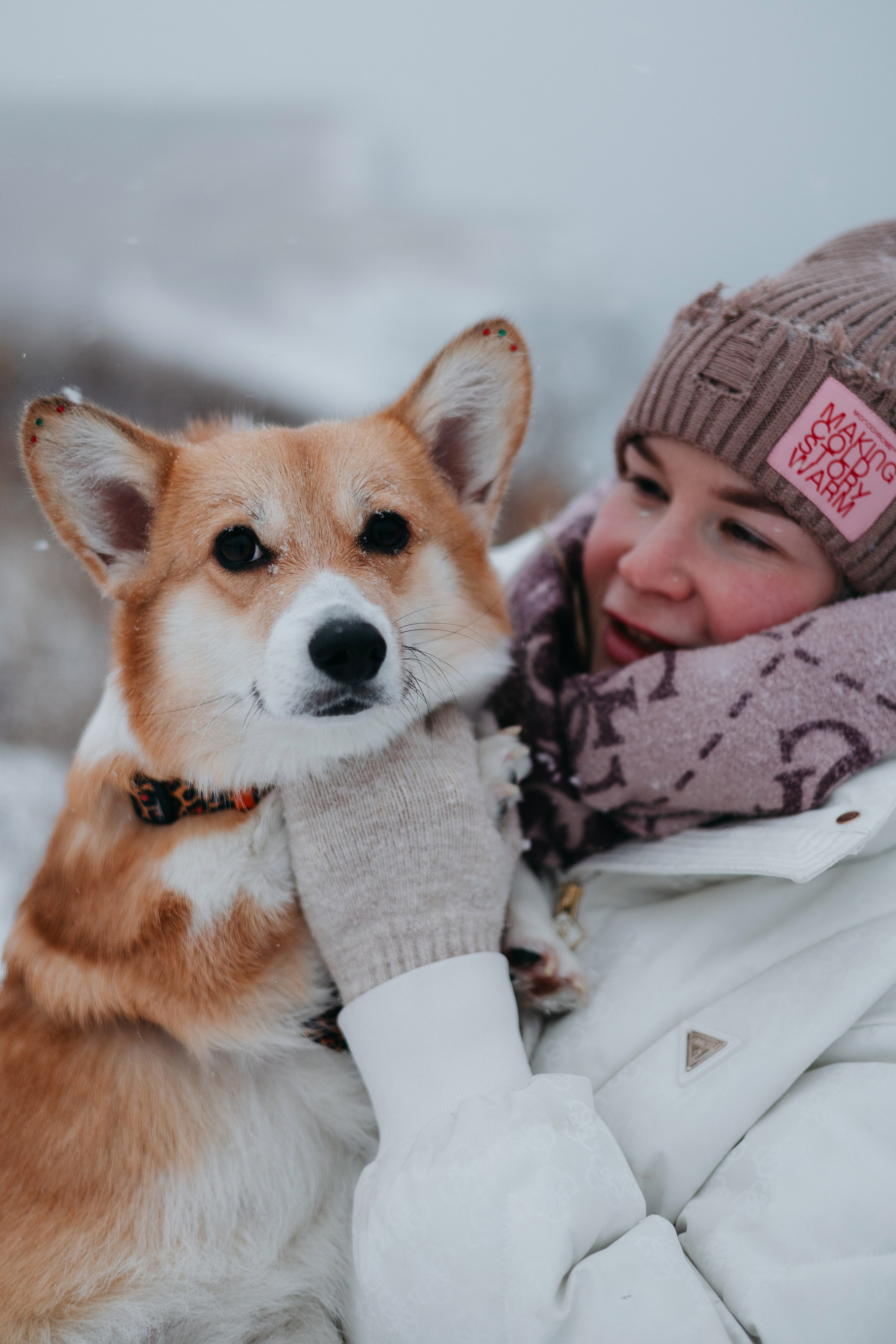 Лена, Лиза и Мия. Фотограф — анималист Владивосток, Алина
