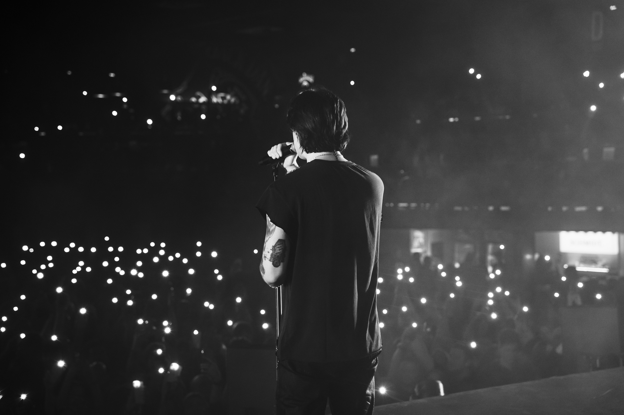 WILDWAYS | 19.12.25 | A2