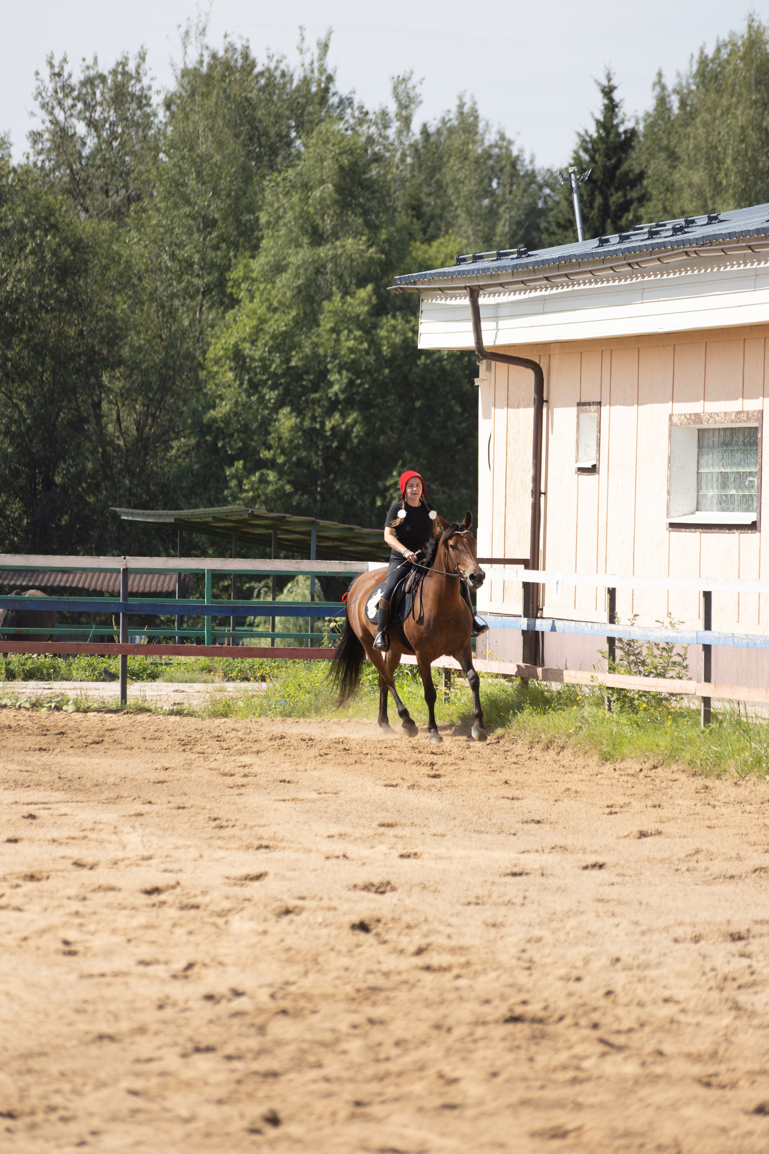 Конюшня. Фотограф в Москве и Истре