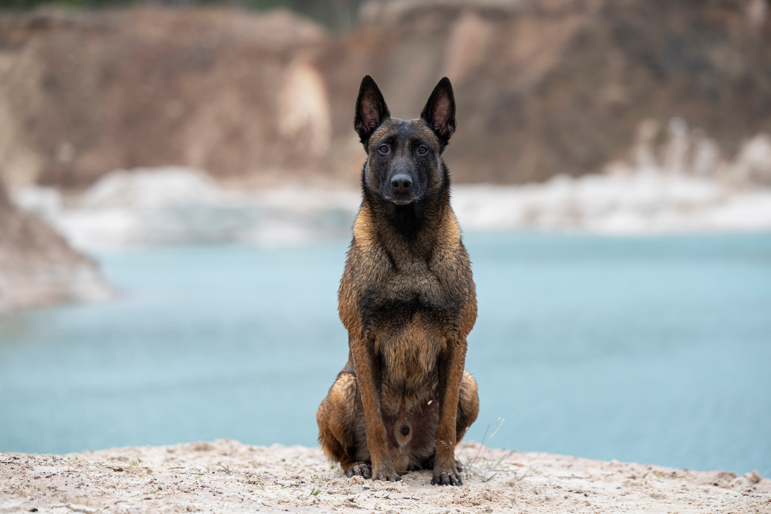 Лужские Мальдивы. Фотограф-анималист Анна Маринич
