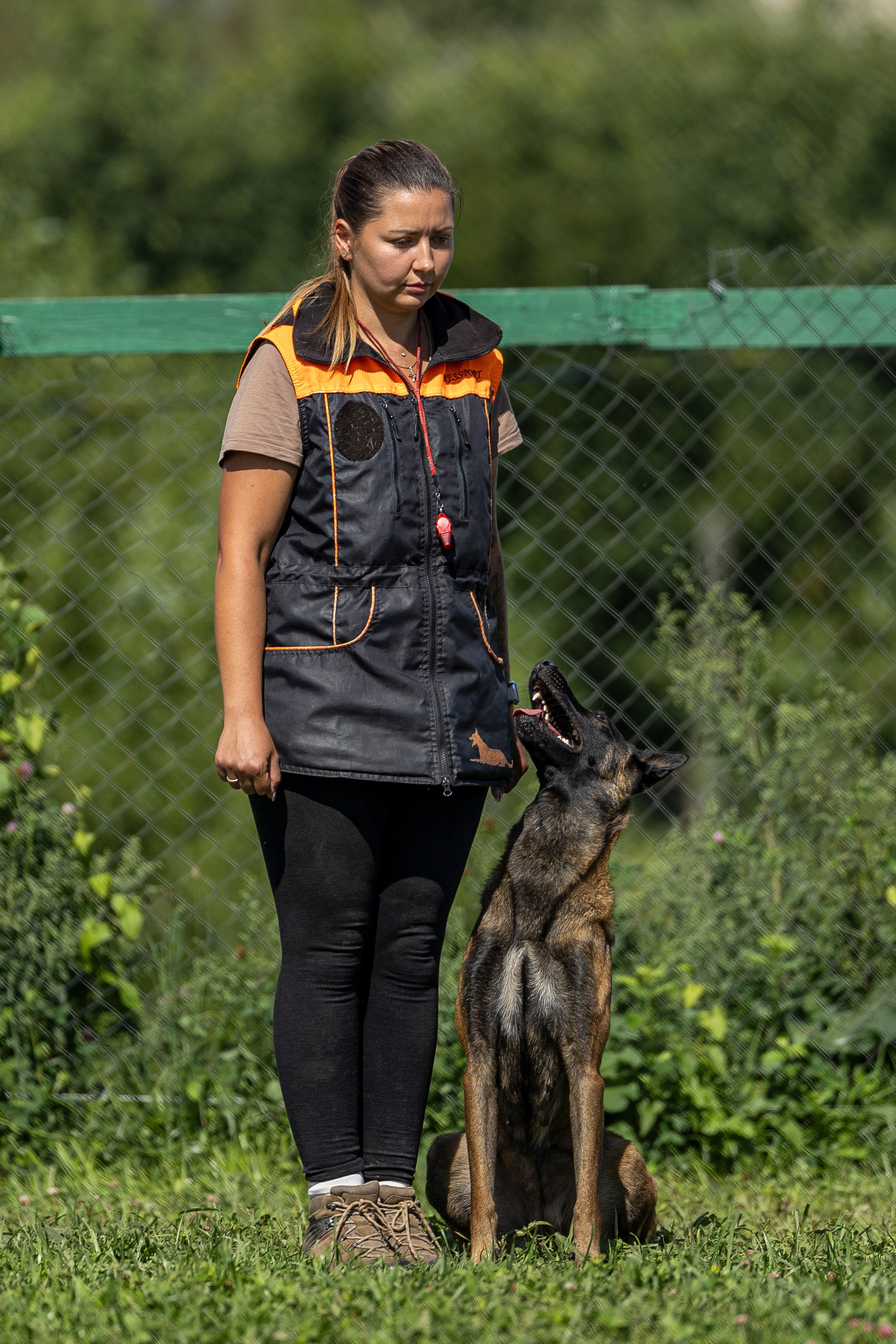 Соревнования по Мондьорингу г. Вологда 10-11.08.2024. Фотограф-анималист Анна Маринич