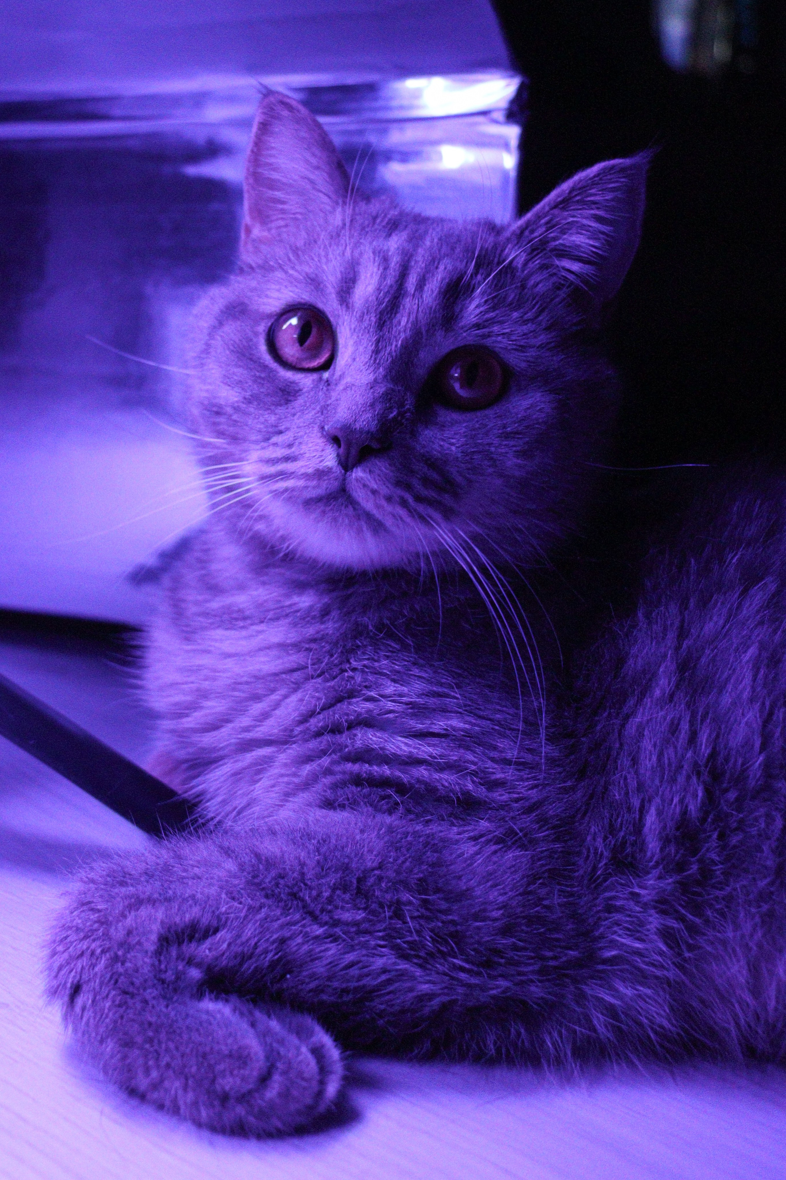 М А Р Т И Н. — Digital Noise —