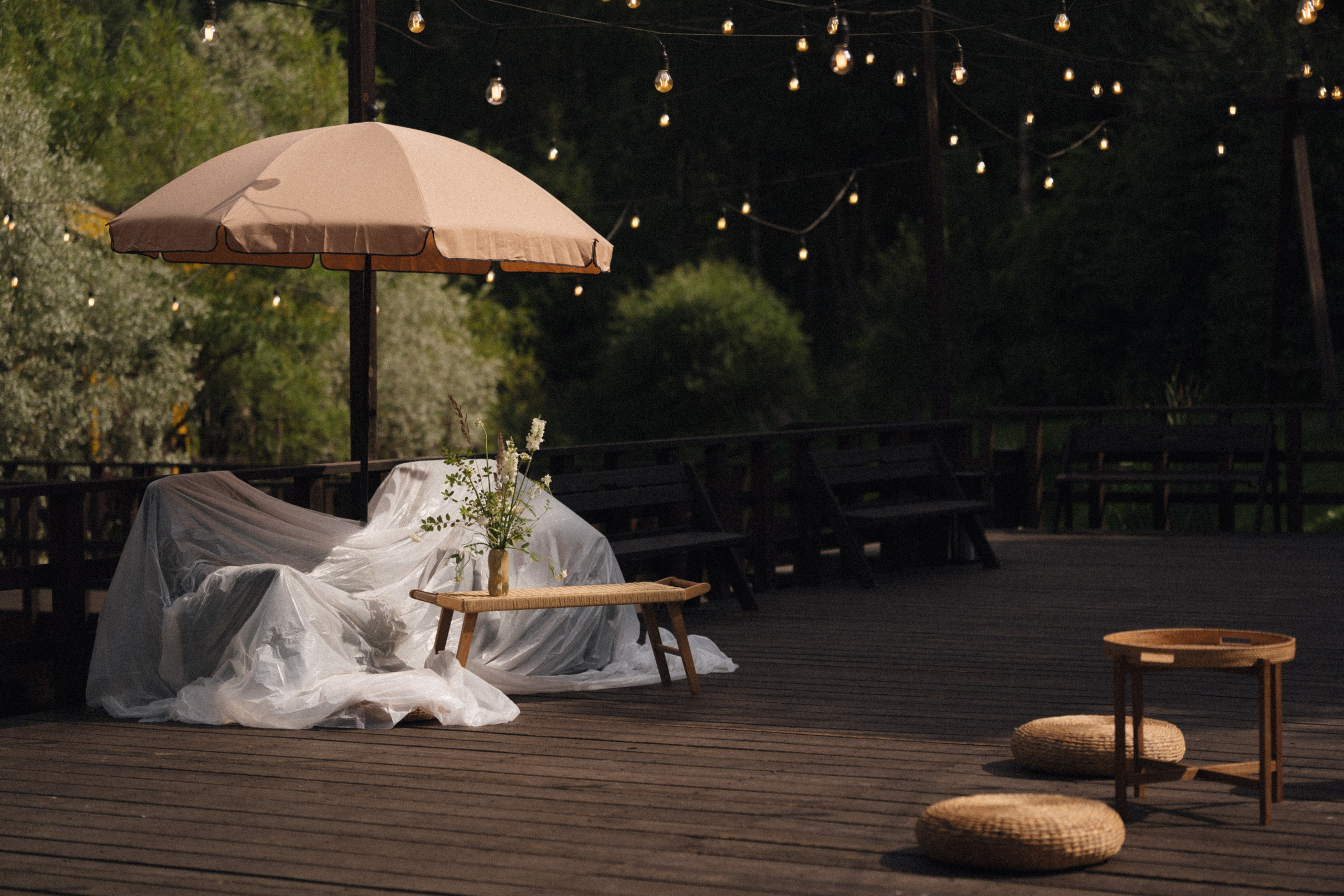 Forest Symphony. Фотограф в Санкт-Петербурге Александр Дымов