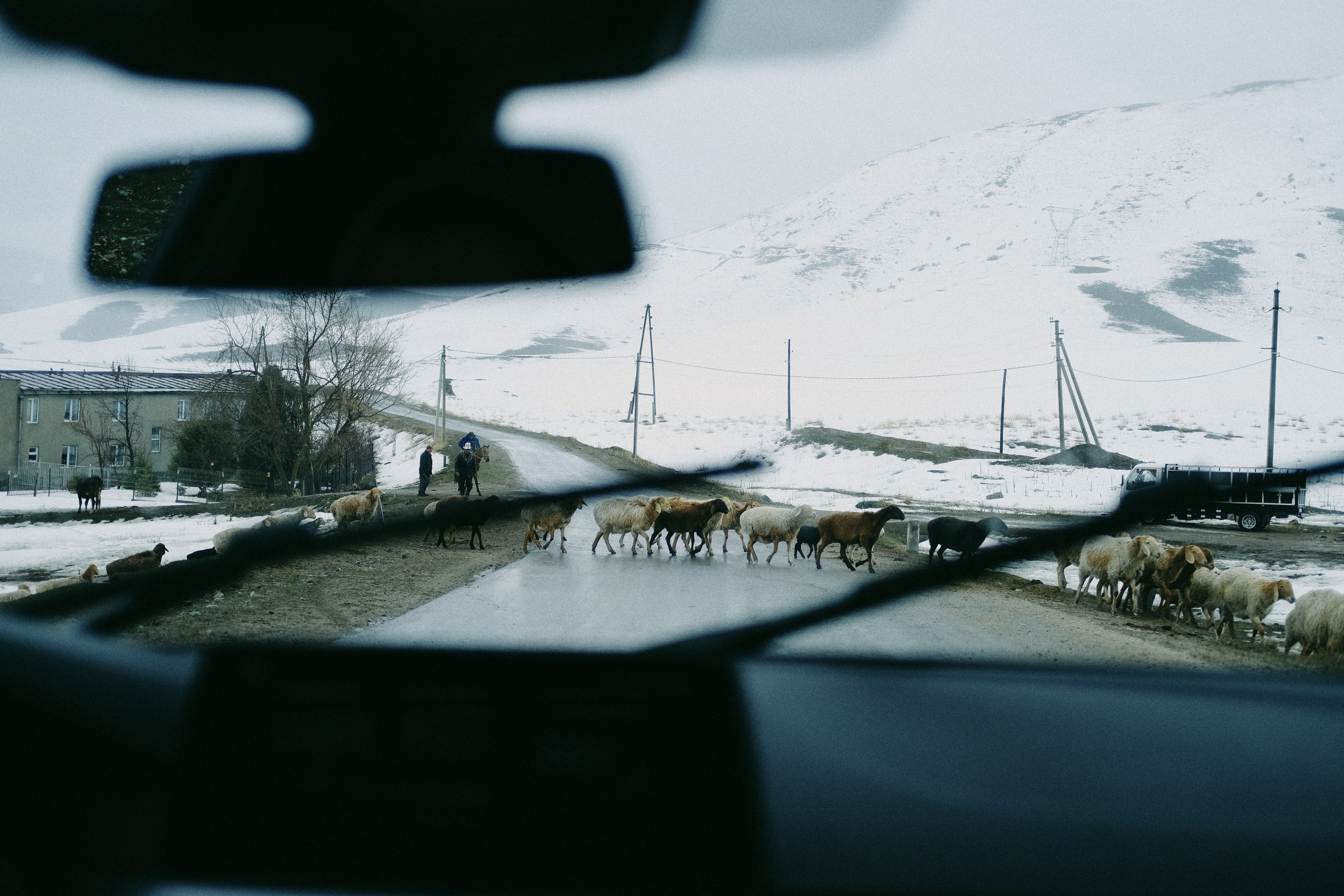 Street. Sasha Shu — retoucher and photographer