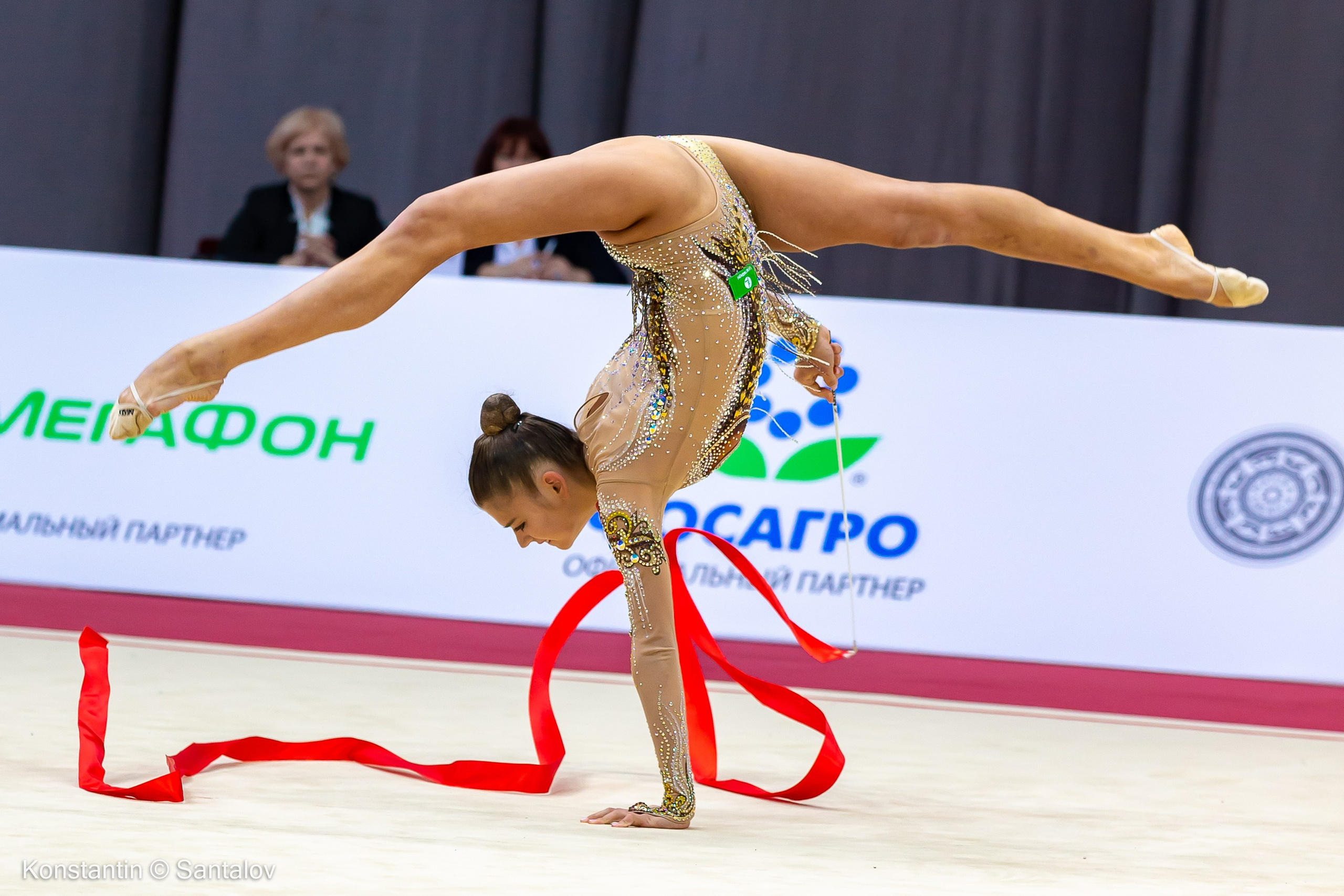 Grand Prix Moscow 2019. GYM-PHOTO. Спорт в кадре