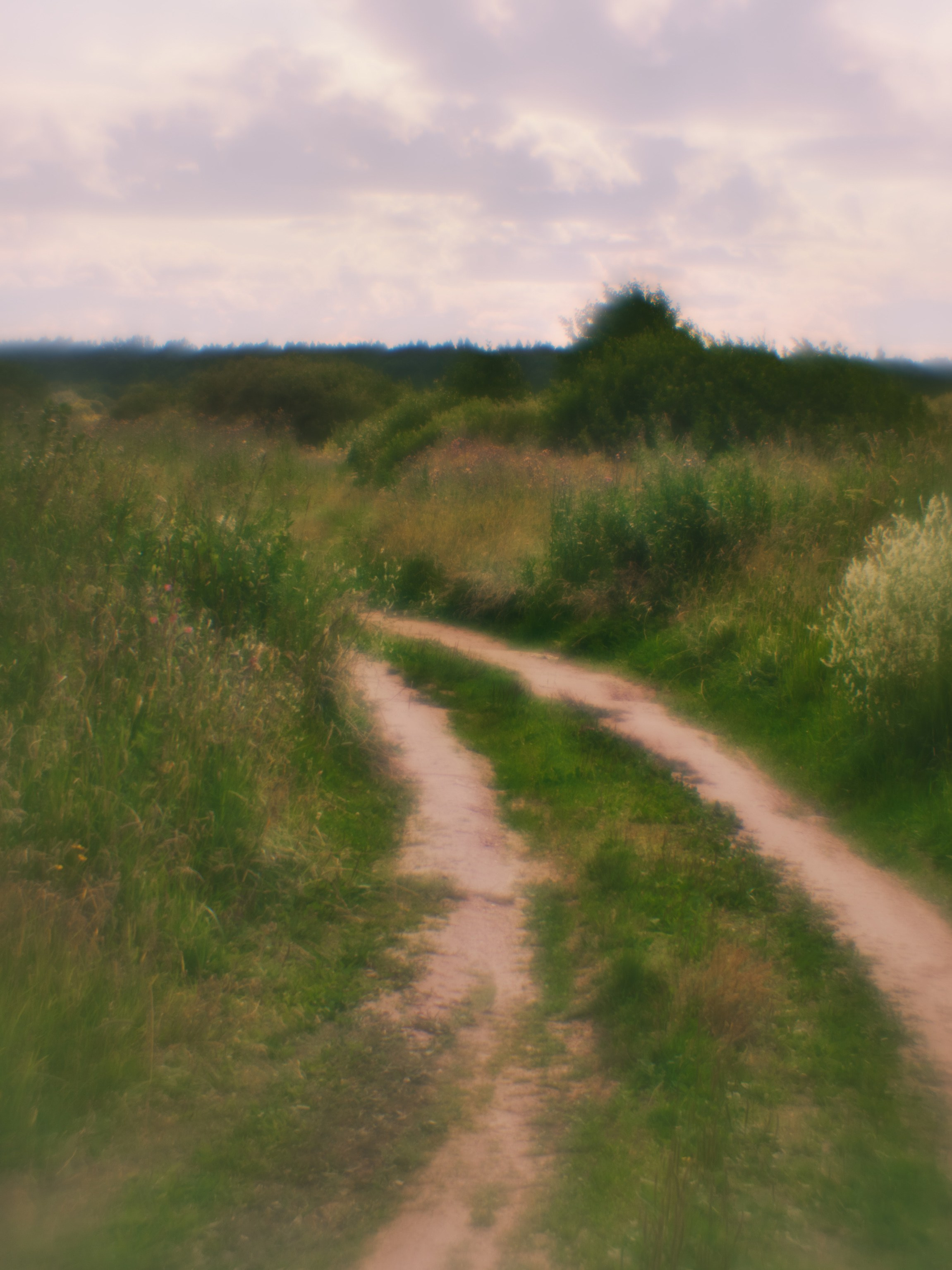 Фотограф Юлия Глазкова