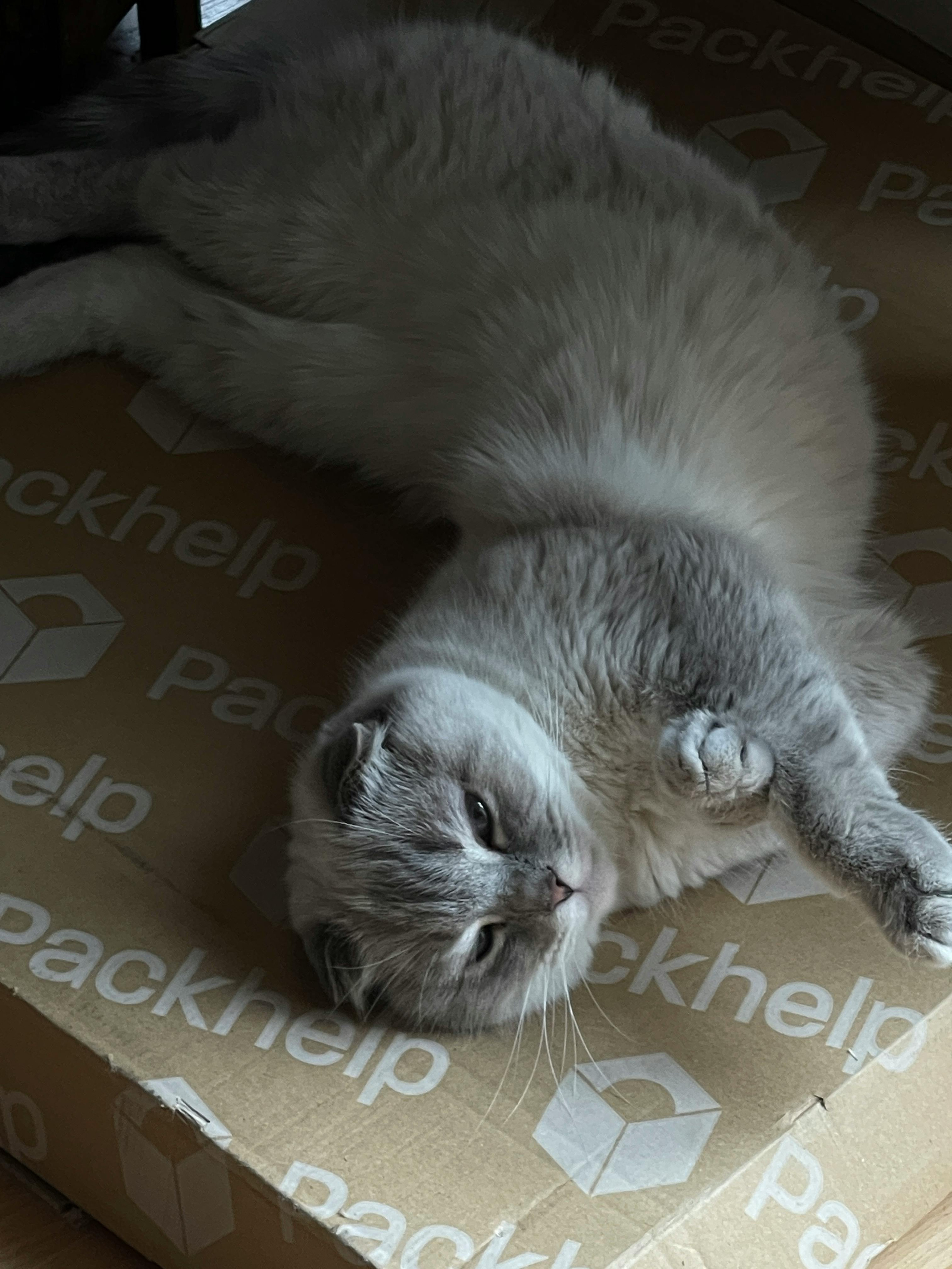 Свадьбы. Фото и видеосъемка в Алматы