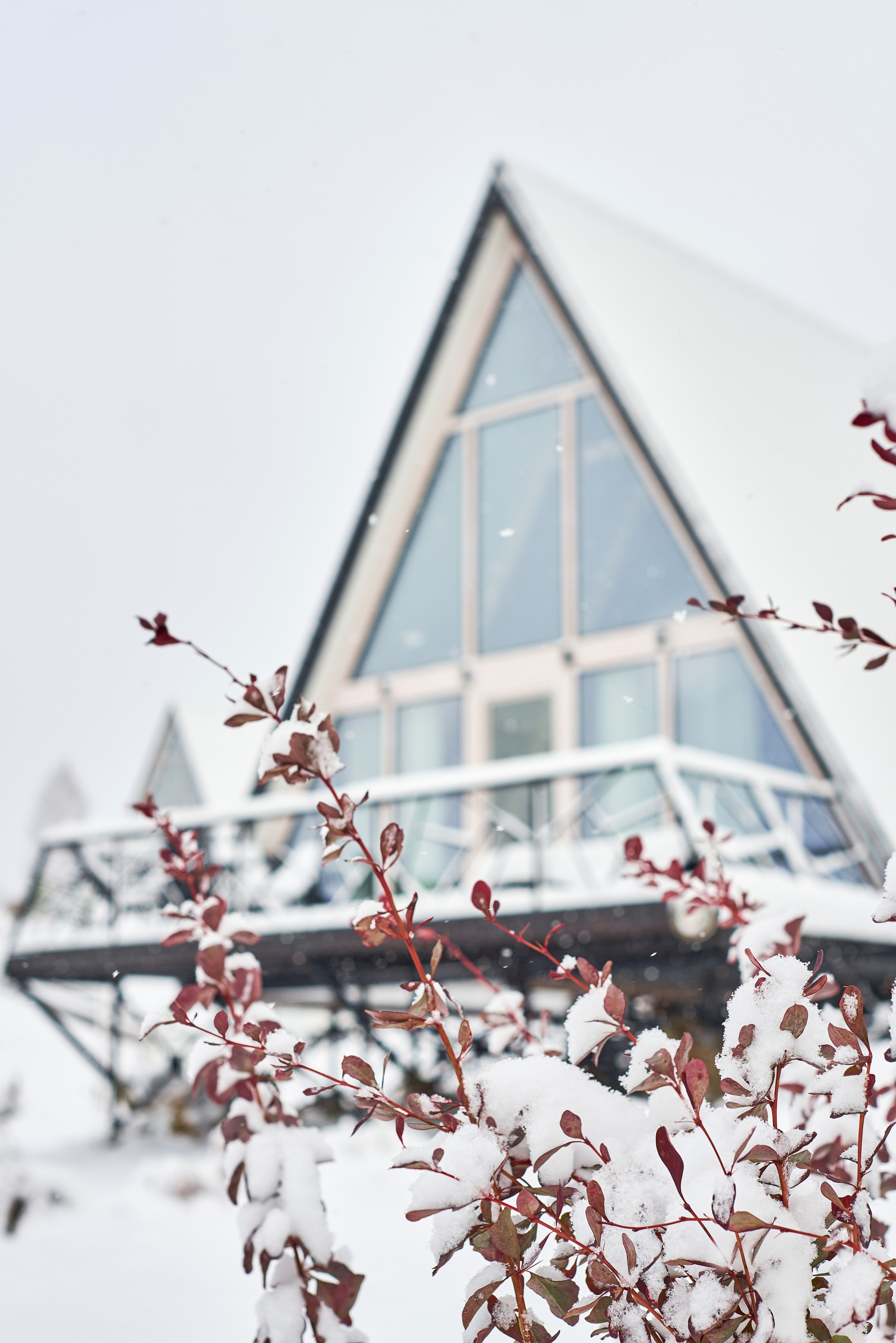 Контент для социальных сетей. Rey Stanislav — рекламный фотограф в Санкт-Петербурге