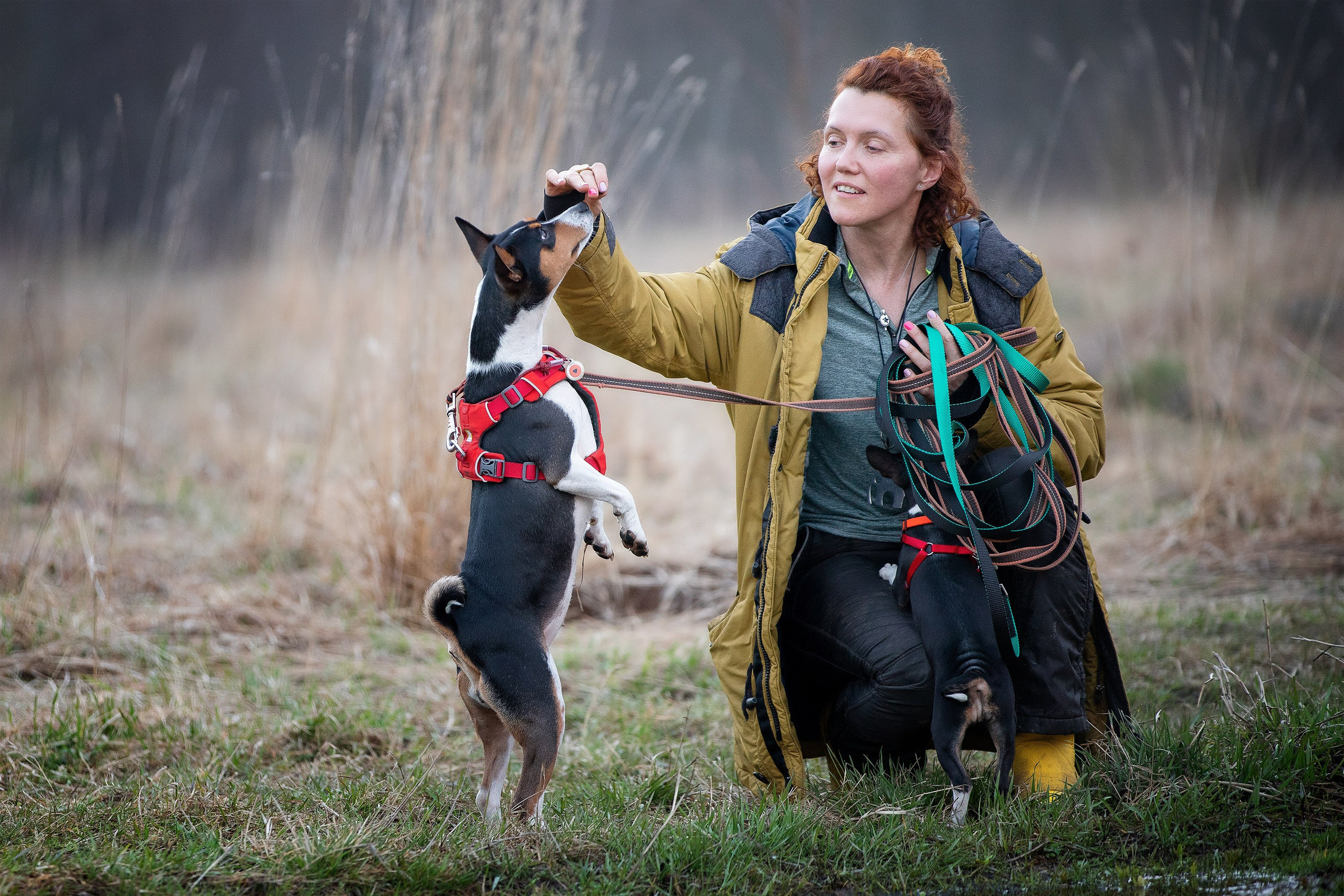 Олеся, Баста и Юна. Фотограф-анималист в Калуге Мария Шерскова