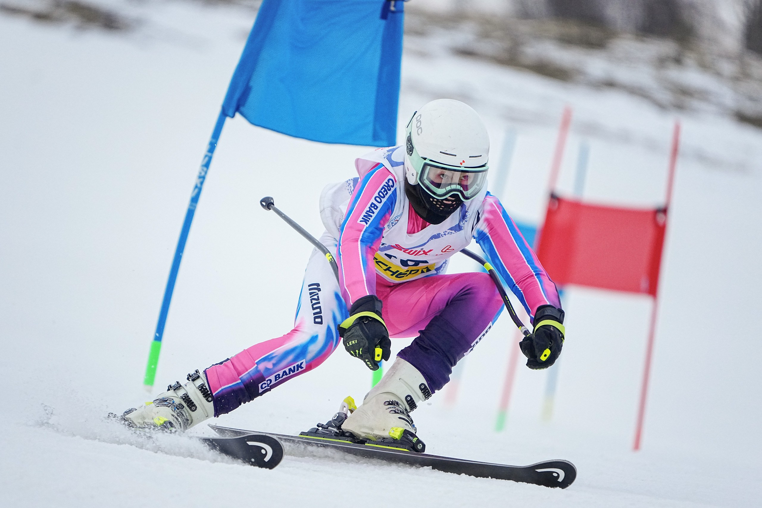 Горные лыжи. Первенство Московской области. Слалом-гигант. Шуколово