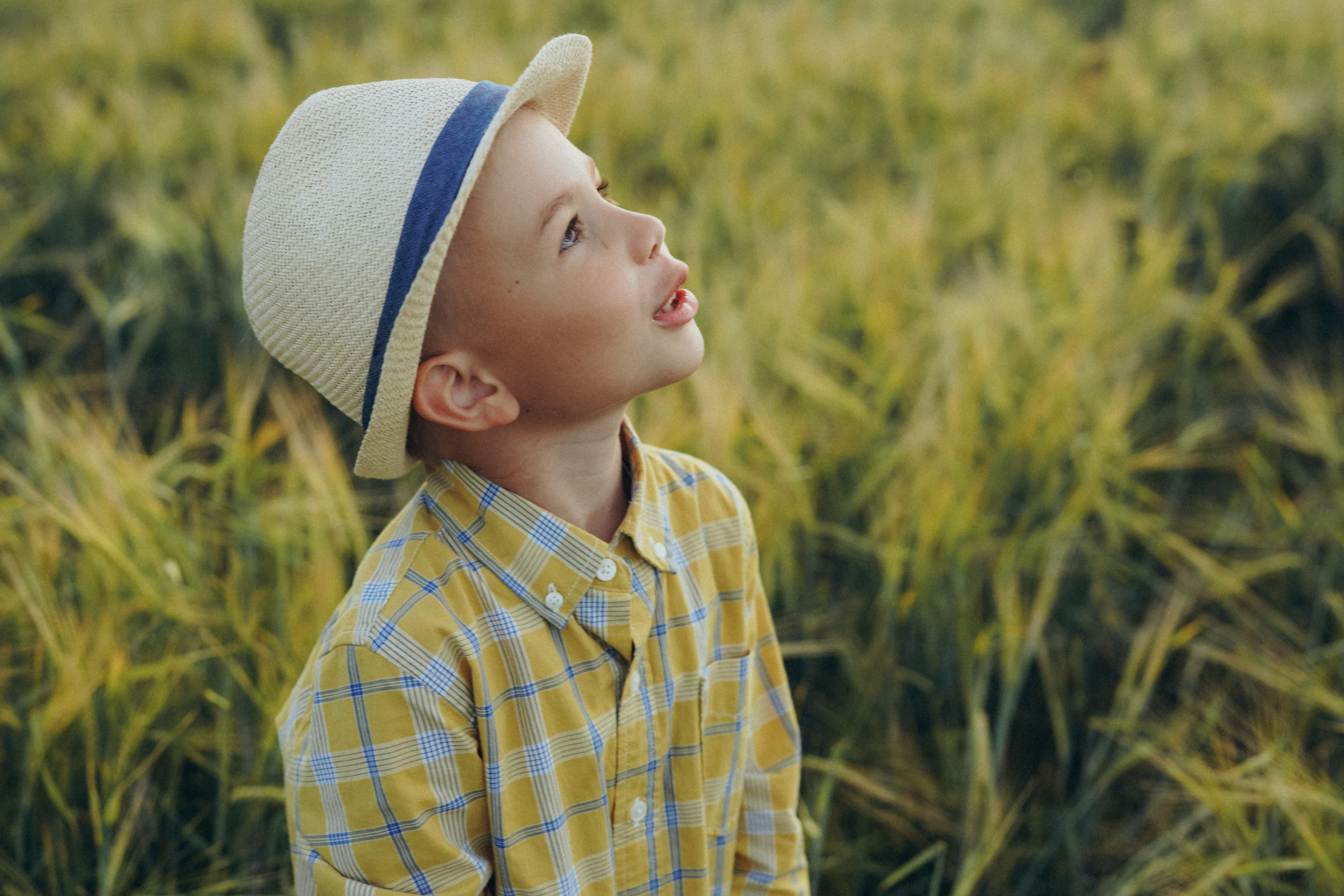 Пшеничное поле. Семейный и женский фотограф в Санкт-Петербурге Татьяна Стружкина
