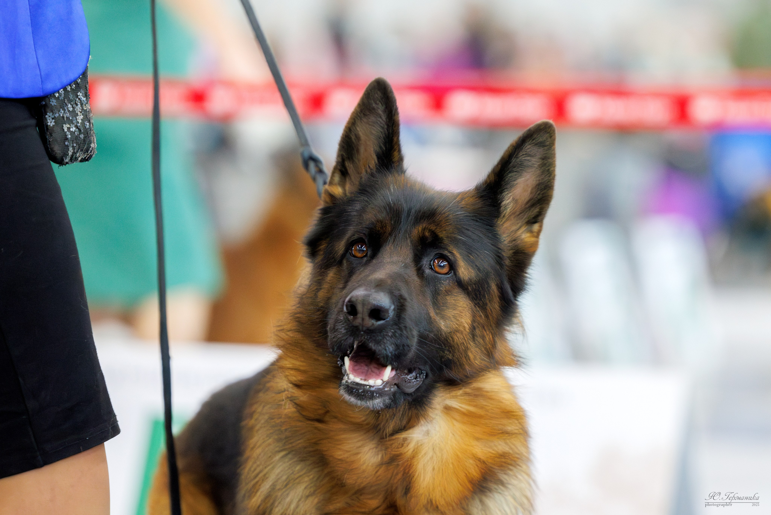 Сабанеевка Казань 25-26.01.2025. Фотограф-анималист Юлия Германика