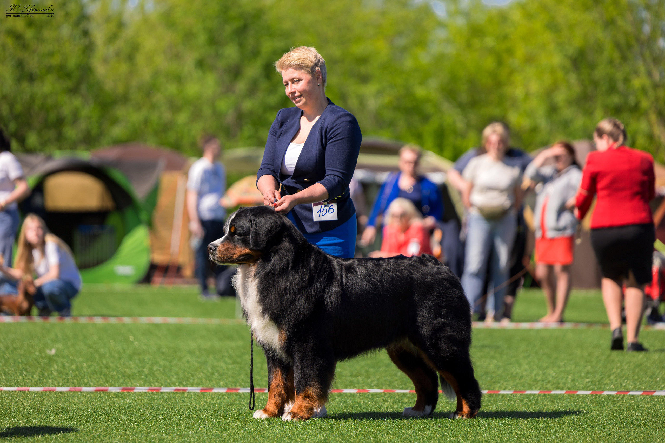 Суздаль 18-19.05.2024. Фотограф-анималист Юлия Германика