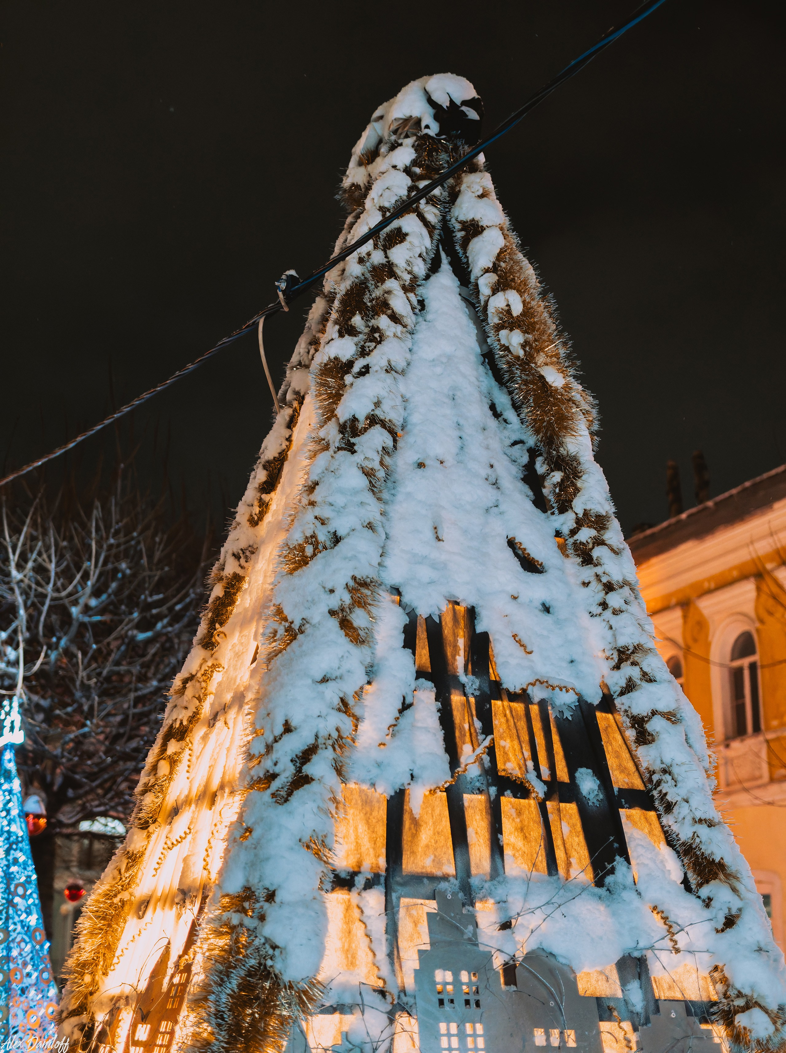 Елки 2025. Муром-Инфо. Новости культуры, образования, спорта в городе Муром