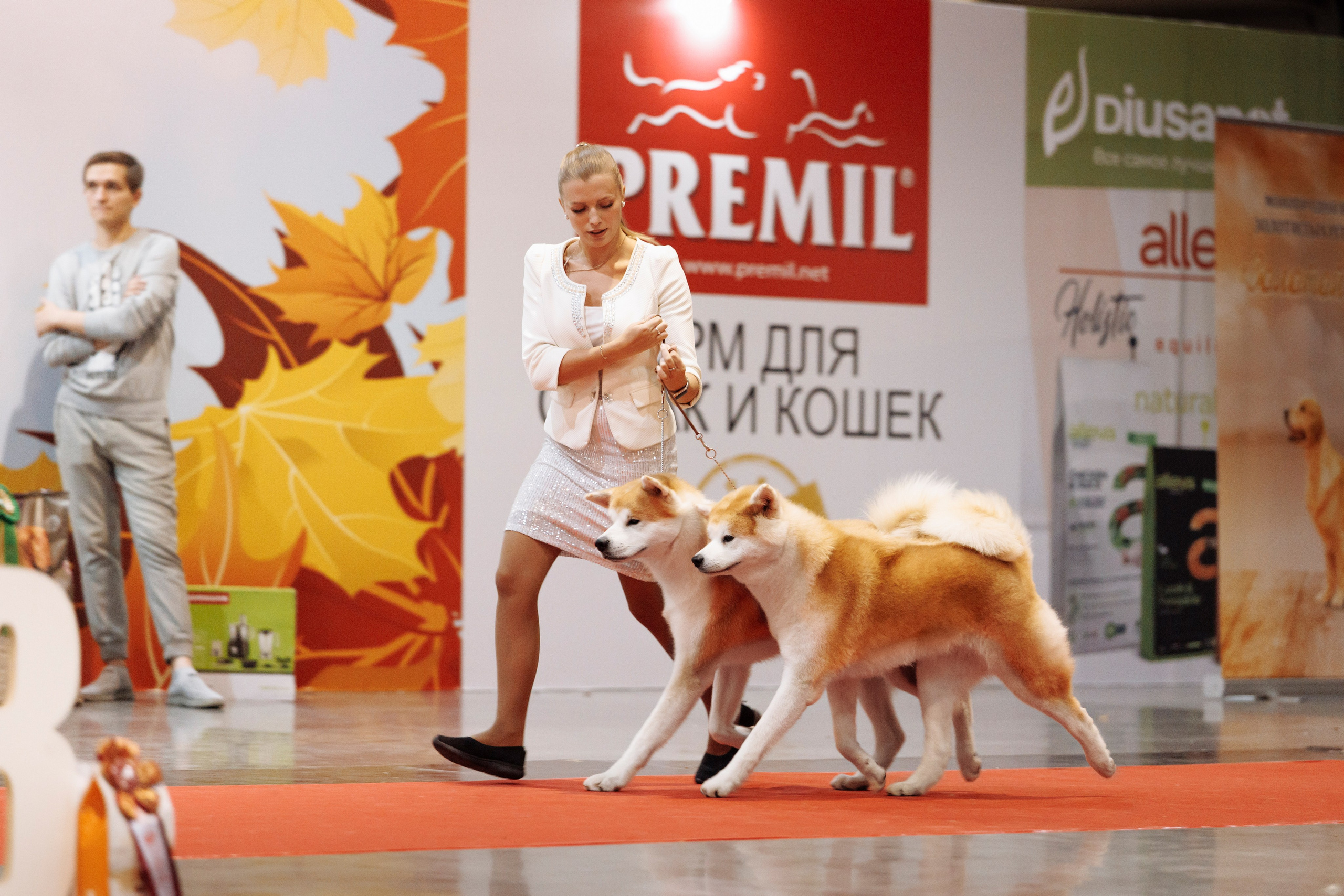 18/19.10.2025 — Екатеринбург. Фотограф-анималист Саша Вязьмина