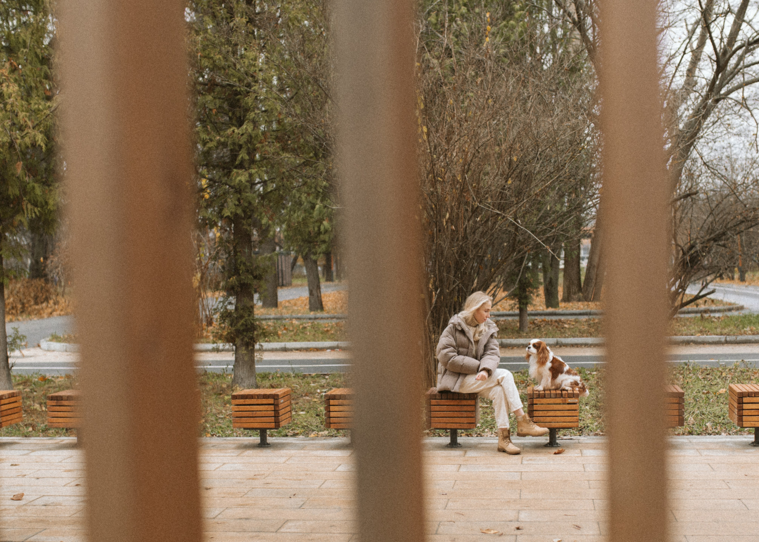 Настя и Тэйлор. Фотограф анималист в Москве Ольга Агушева