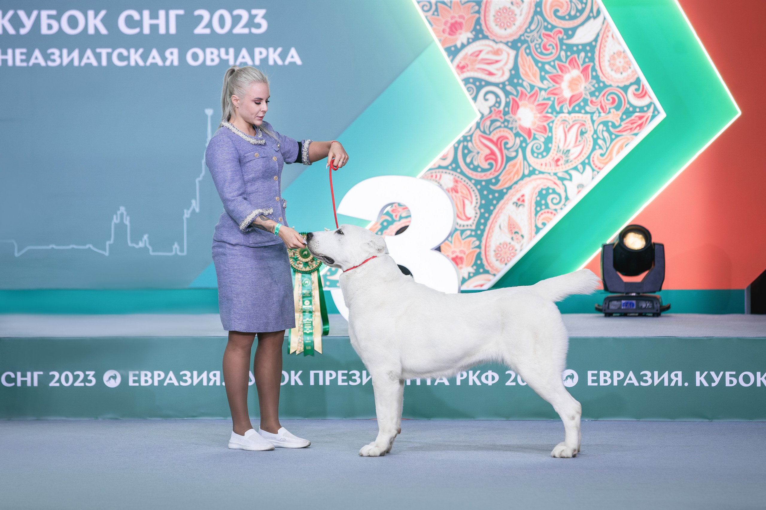 Выставки. Фотограф анималист в Москве Майорова Евгения