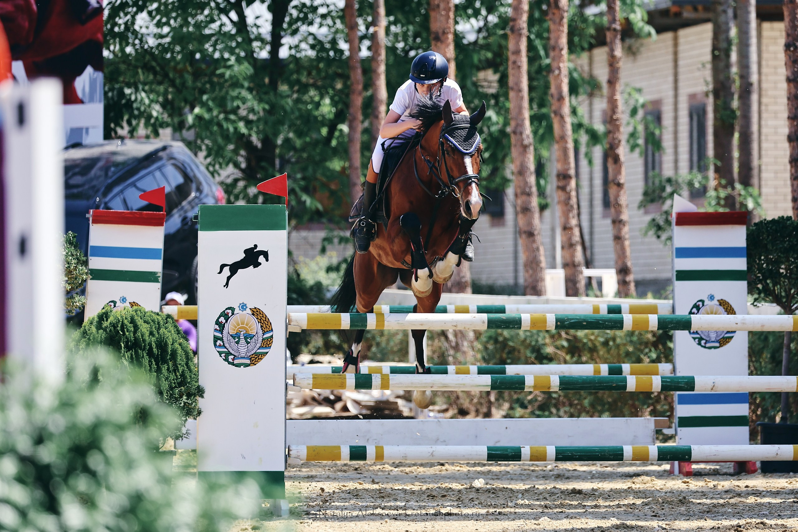 FEI World Cup, Ташкент | 04'2023. Репортажный фотограф и ретушер в Москве Наталья Алексеева