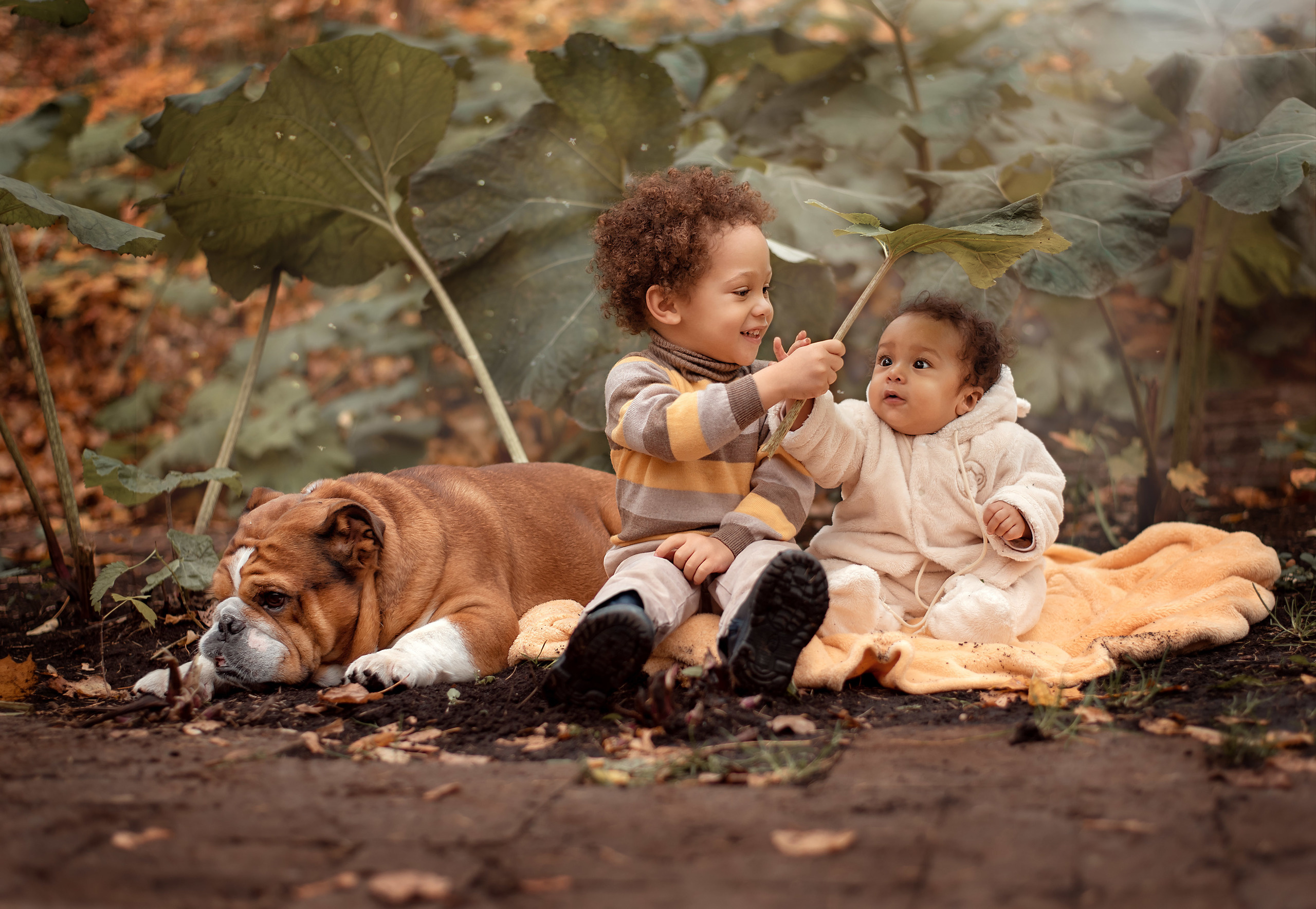 Семейная и детская съемка. Семейный и свадебный фотограф Лебедева Елена Москва- Зеленоград